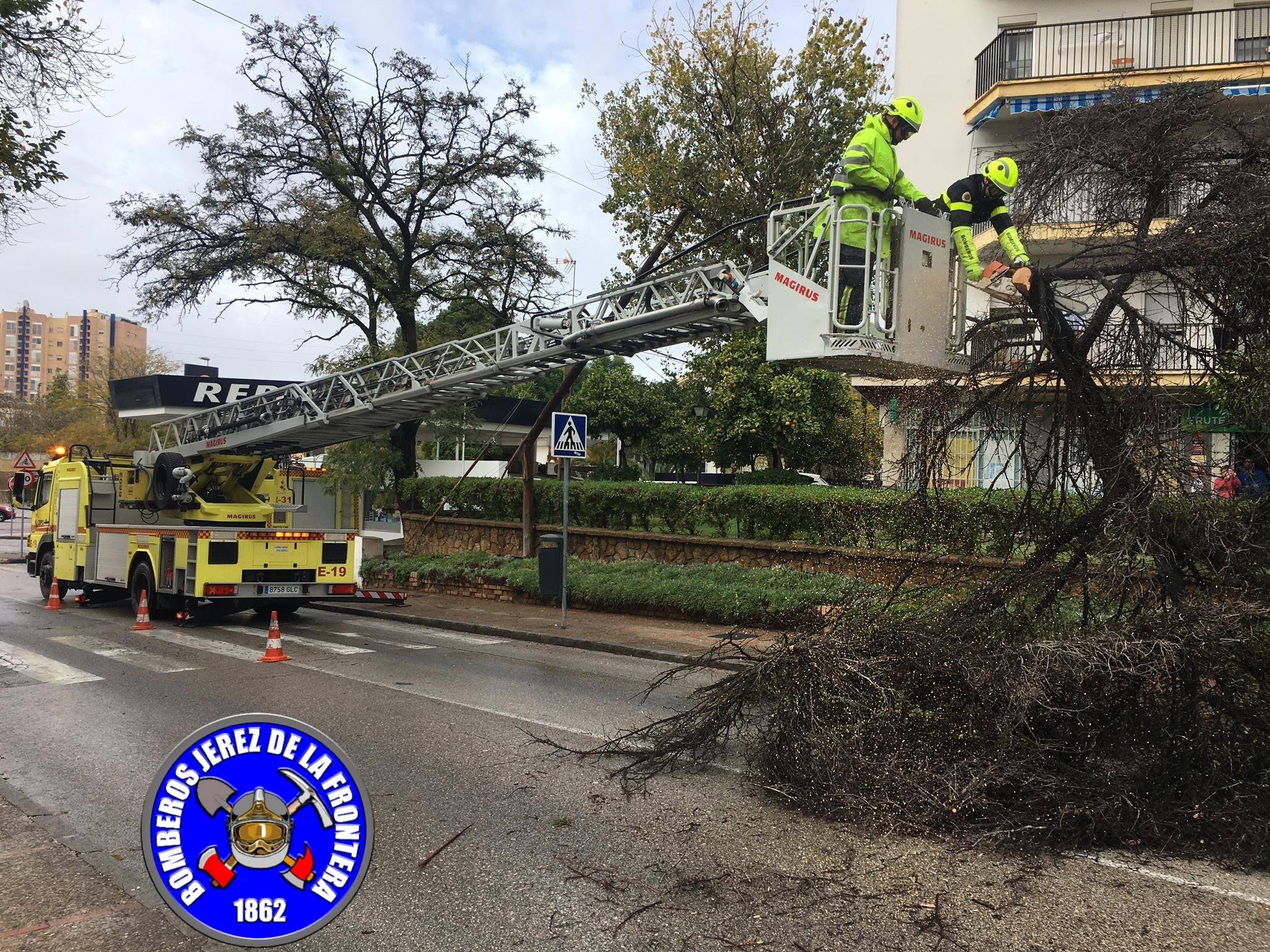 Intervención en la zona del Retiro, en la tarde de este viernes.