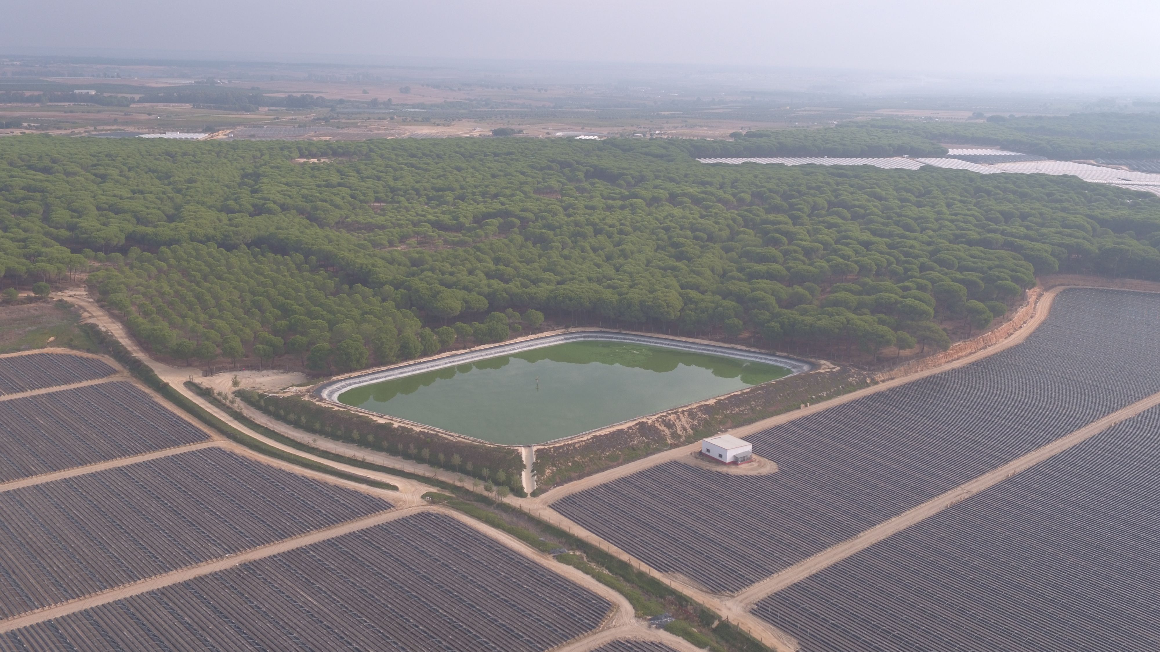 Balsas de riego en el entorno de Doñana, en una imagen de WWF. Se agrava la situación crítica del parque.