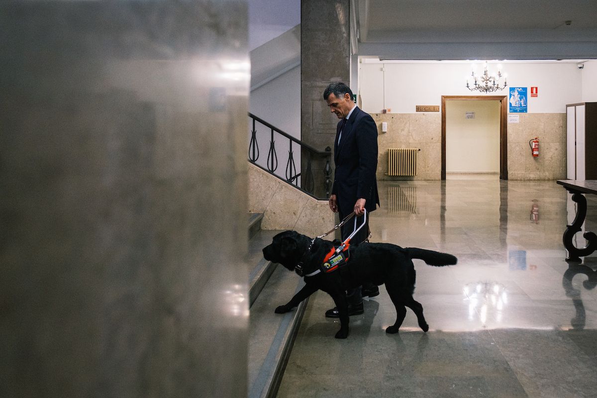 Luis de Oro-Pulido, con Pusky, en la Audiencia de Sevilla.
