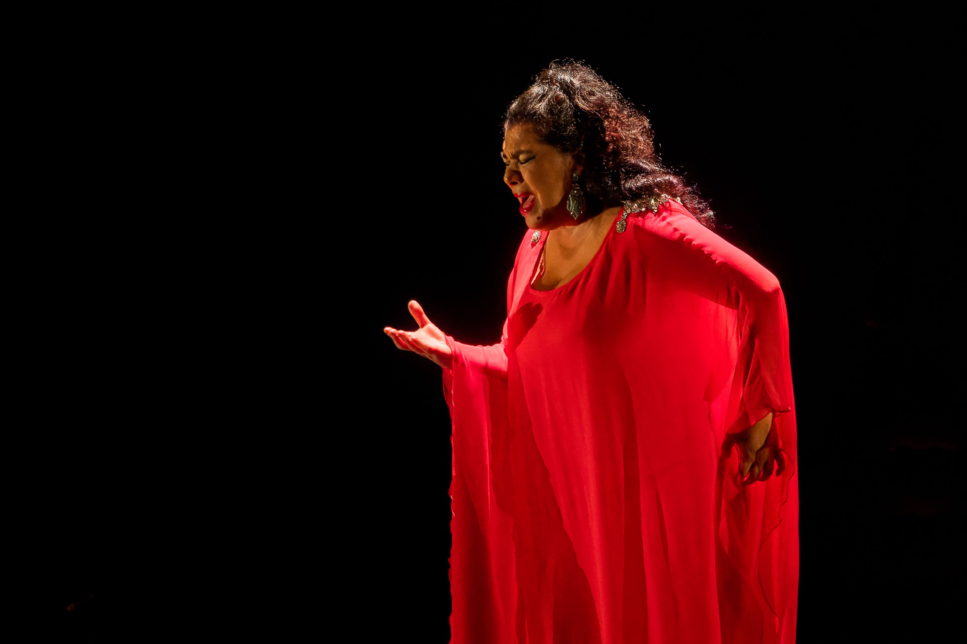 HOMENAJE A MANOLO SANLUCAR 11