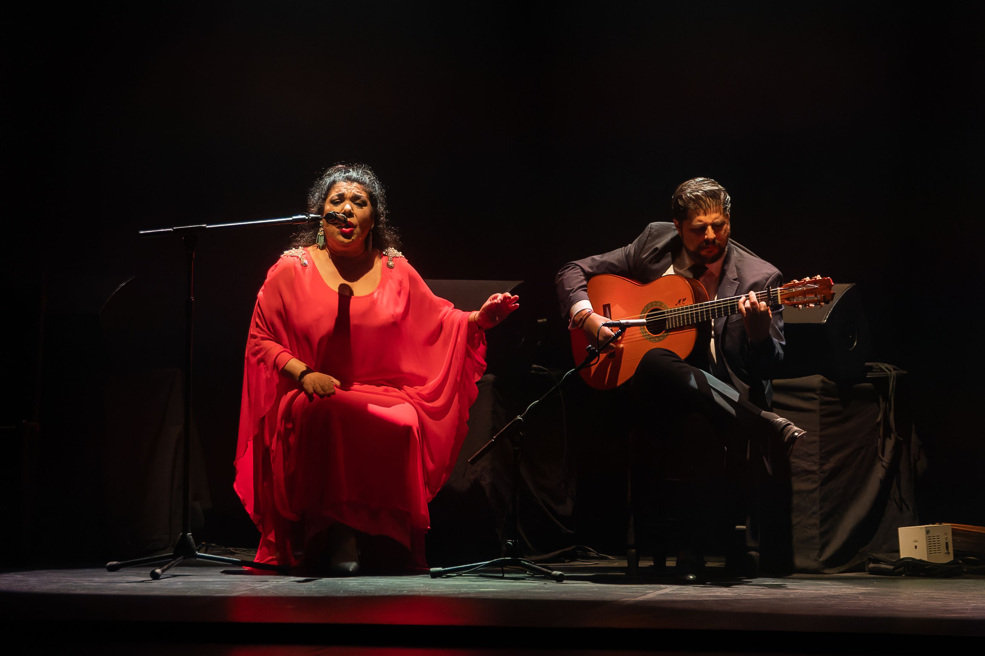 HOMENAJE A MANOLO SANLUCAR 12