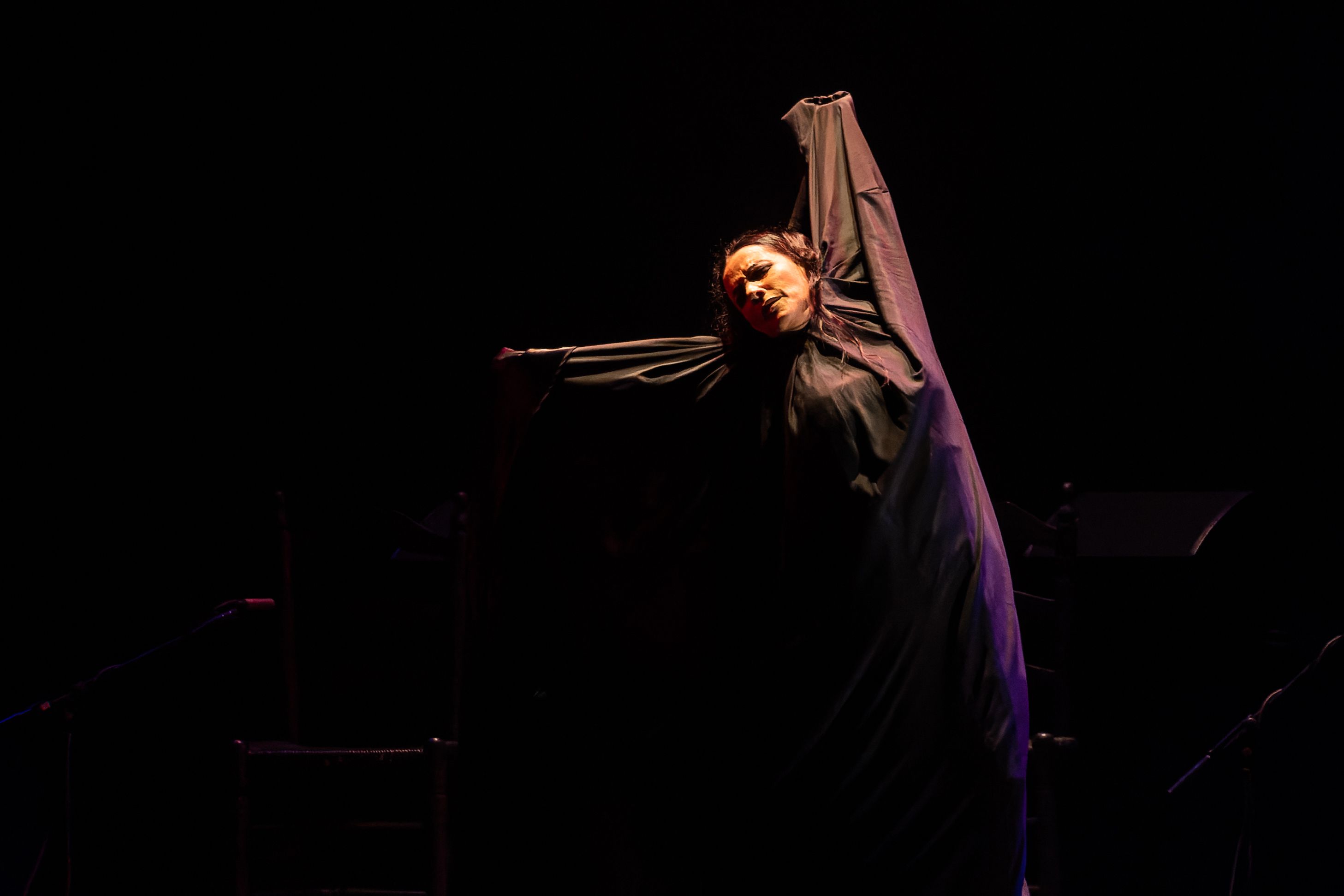 HOMENAJE A MANOLO SANLUCAR 23