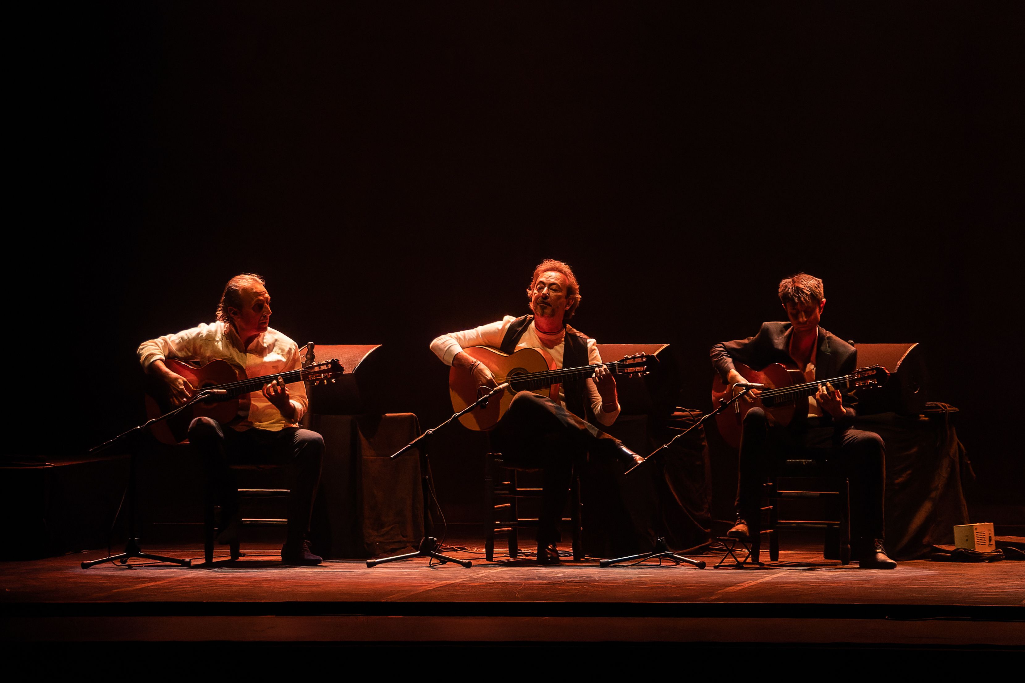 HOMENAJE A MANOLO SANLUCAR 27