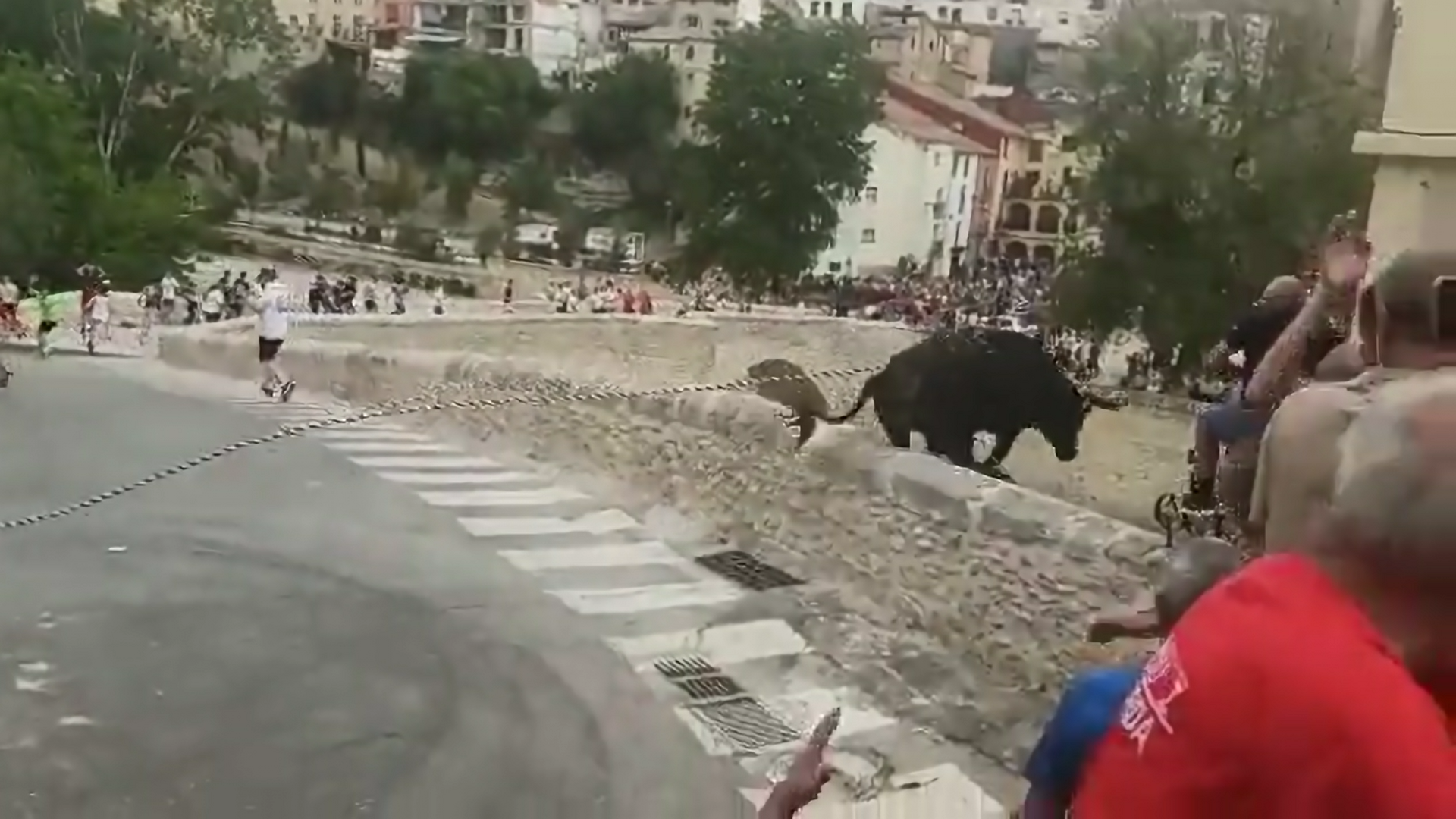 Imagen del toro saltando al vacío.