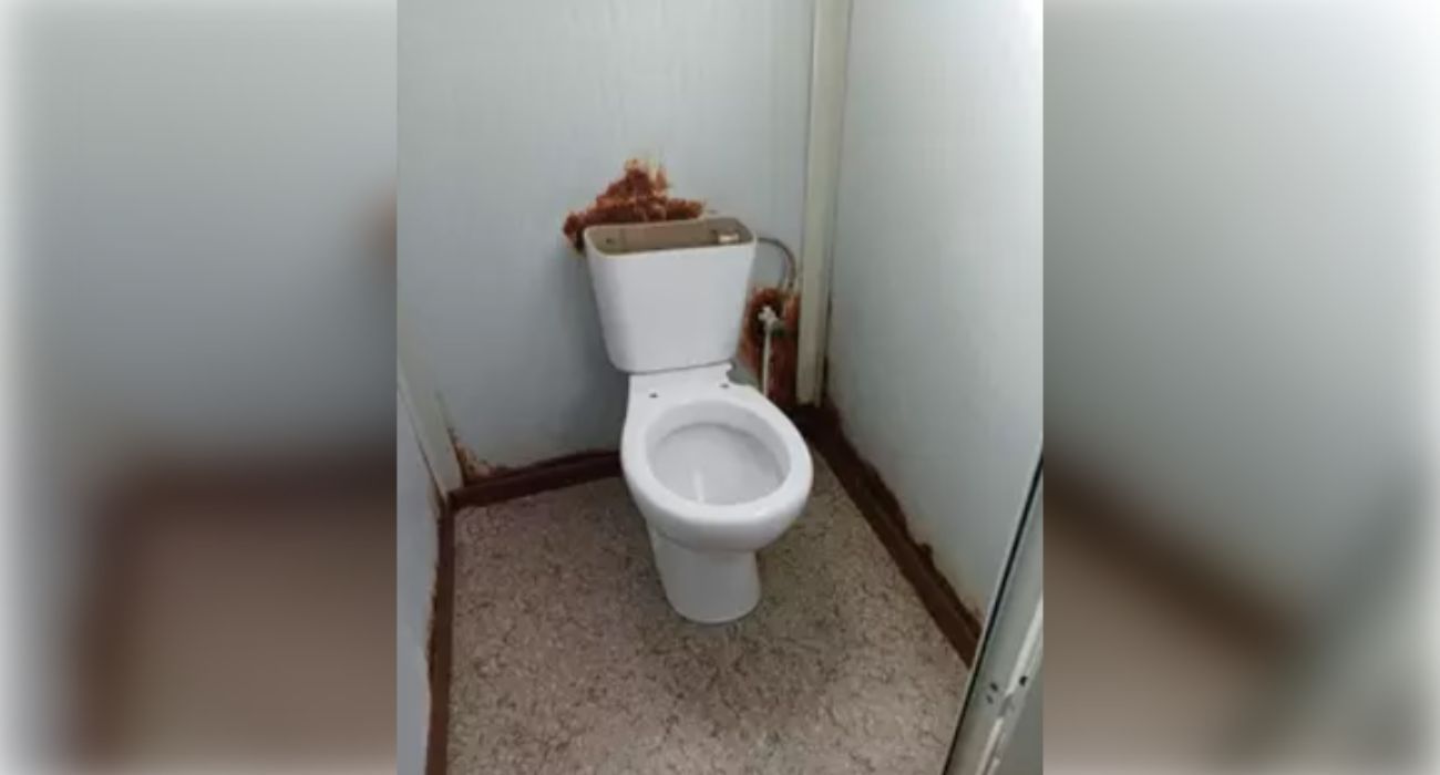 Lamentables condiciones de los aseos de un colegio de Sevilla.