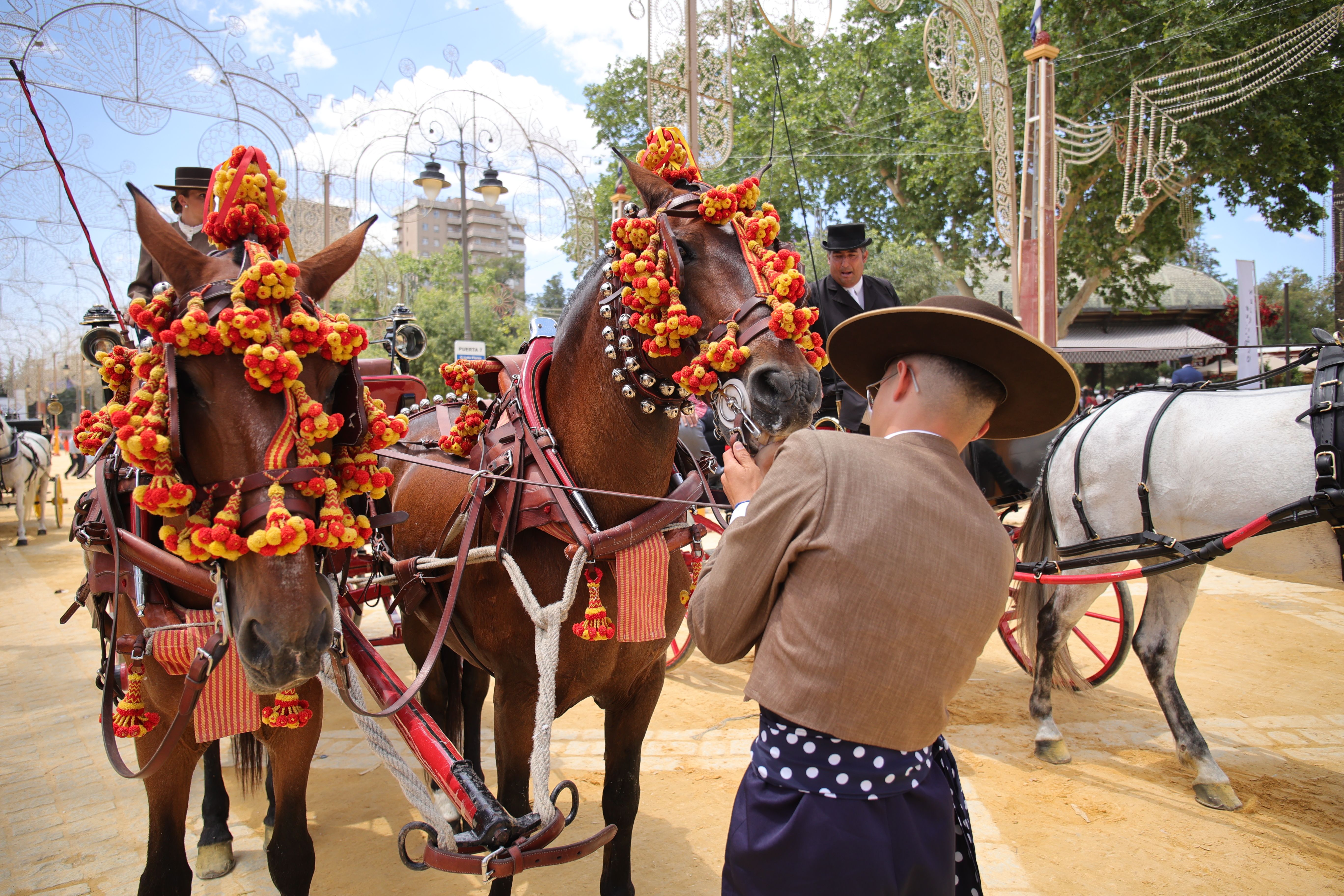 Domingo de Feria del Caballo 4