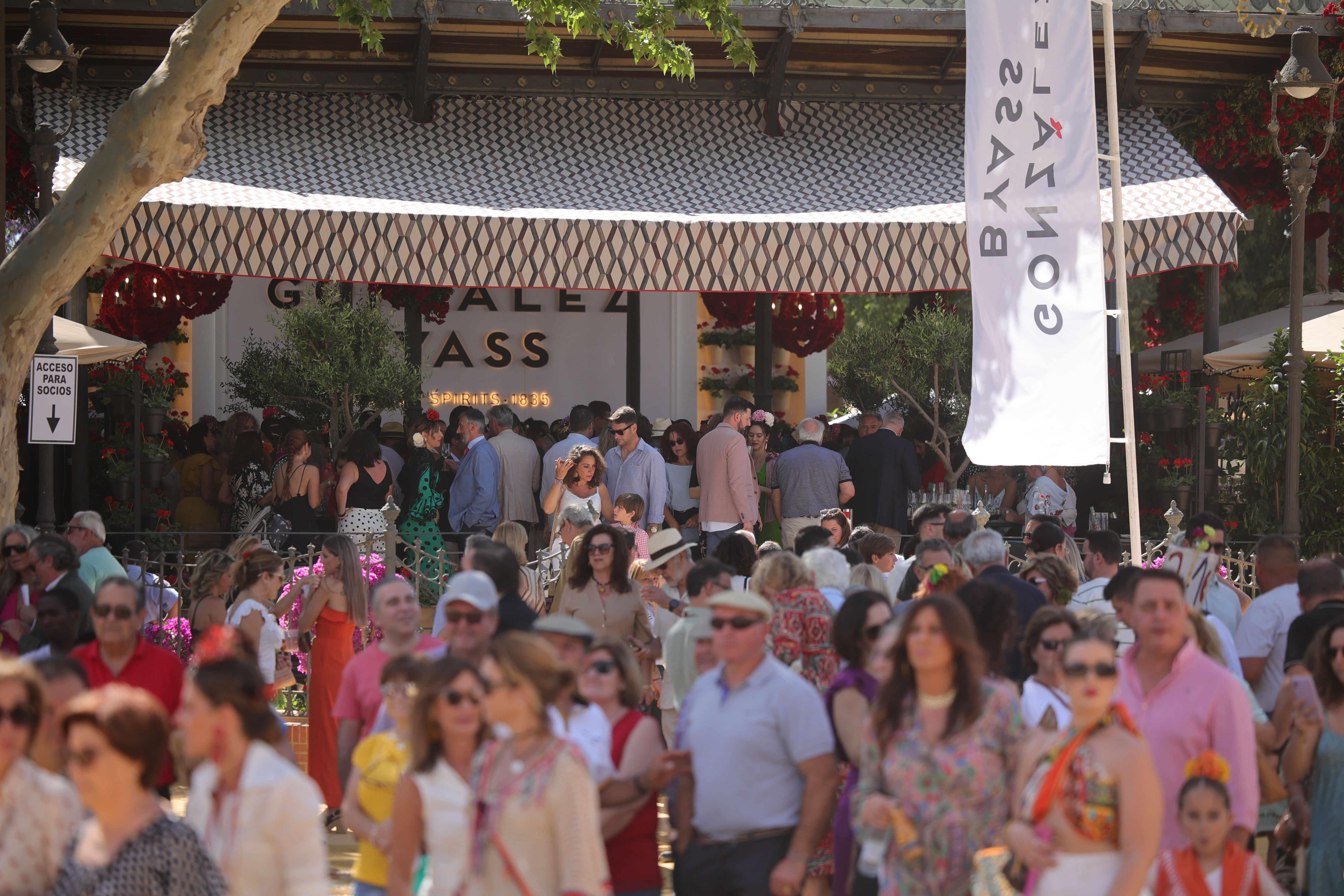 Domingo de Feria del Caballo 7