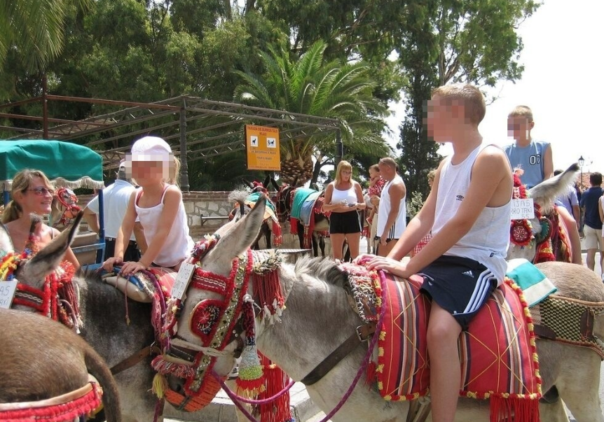 Burro Taxis en Mijas. AYUNTAMIENTO DE MIJAS. 