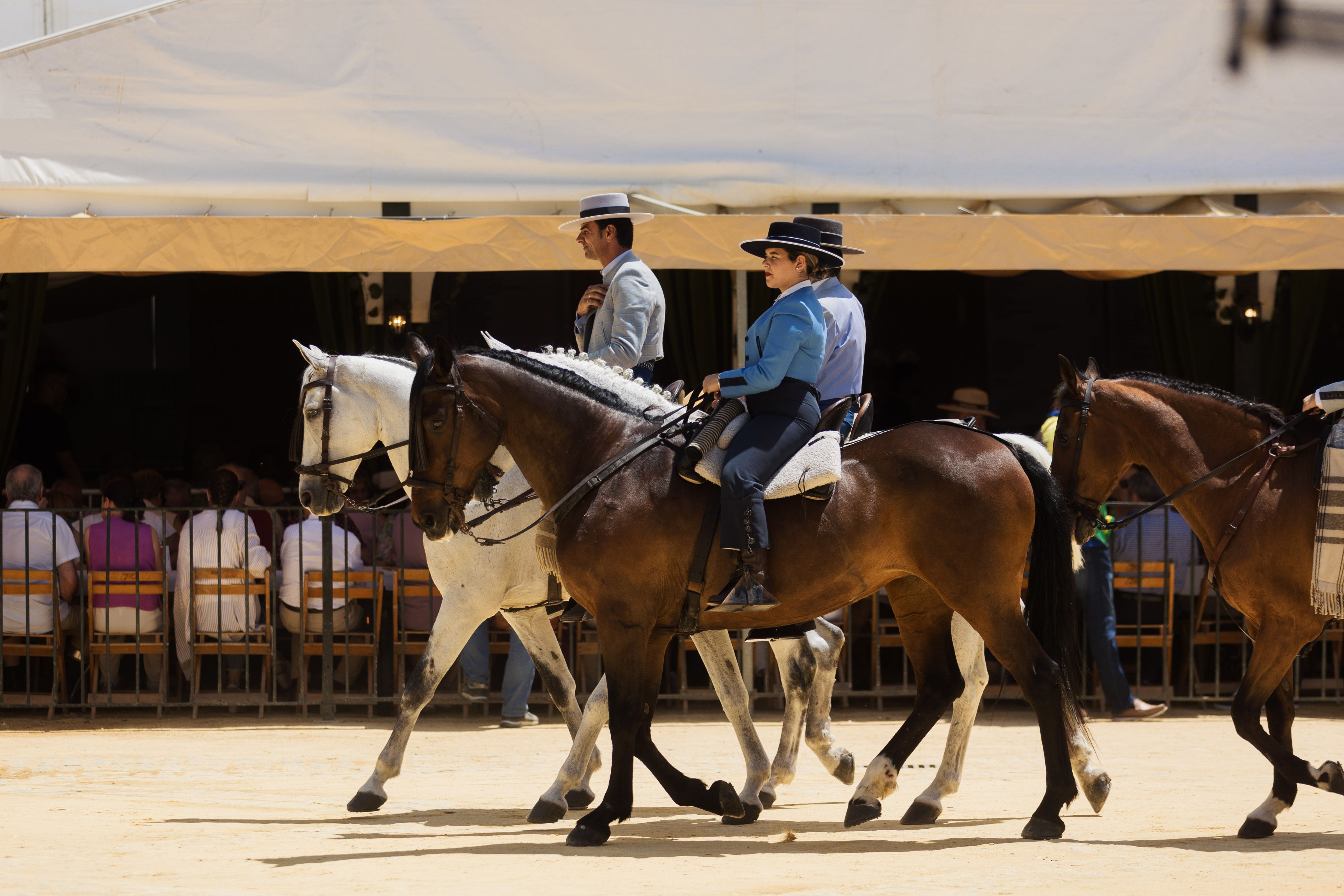 Martes de Feria del Caballo