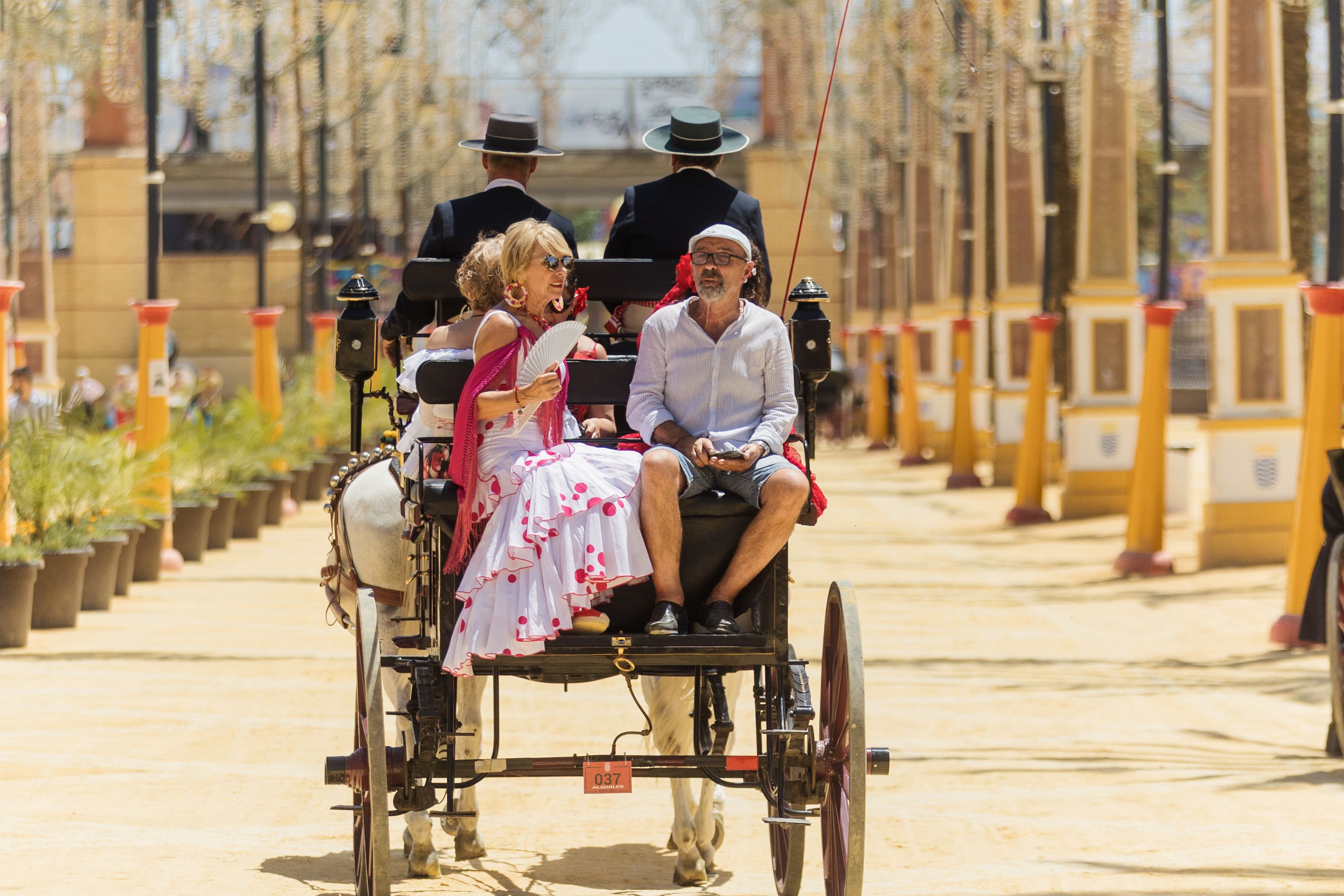 MIERCOLES DE FERIA 6