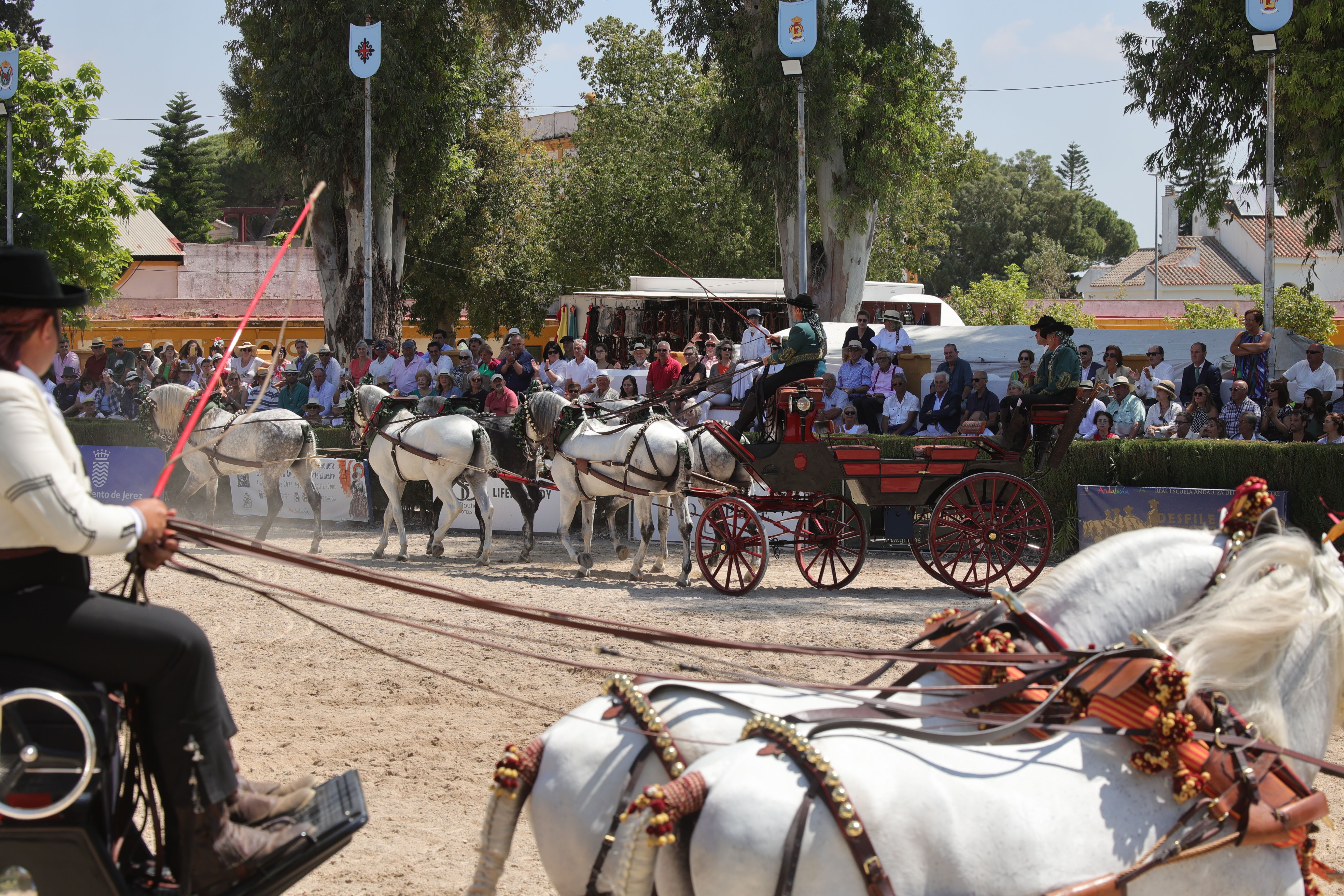 El Caballo de Oro a Belén Bautista en imágenes 