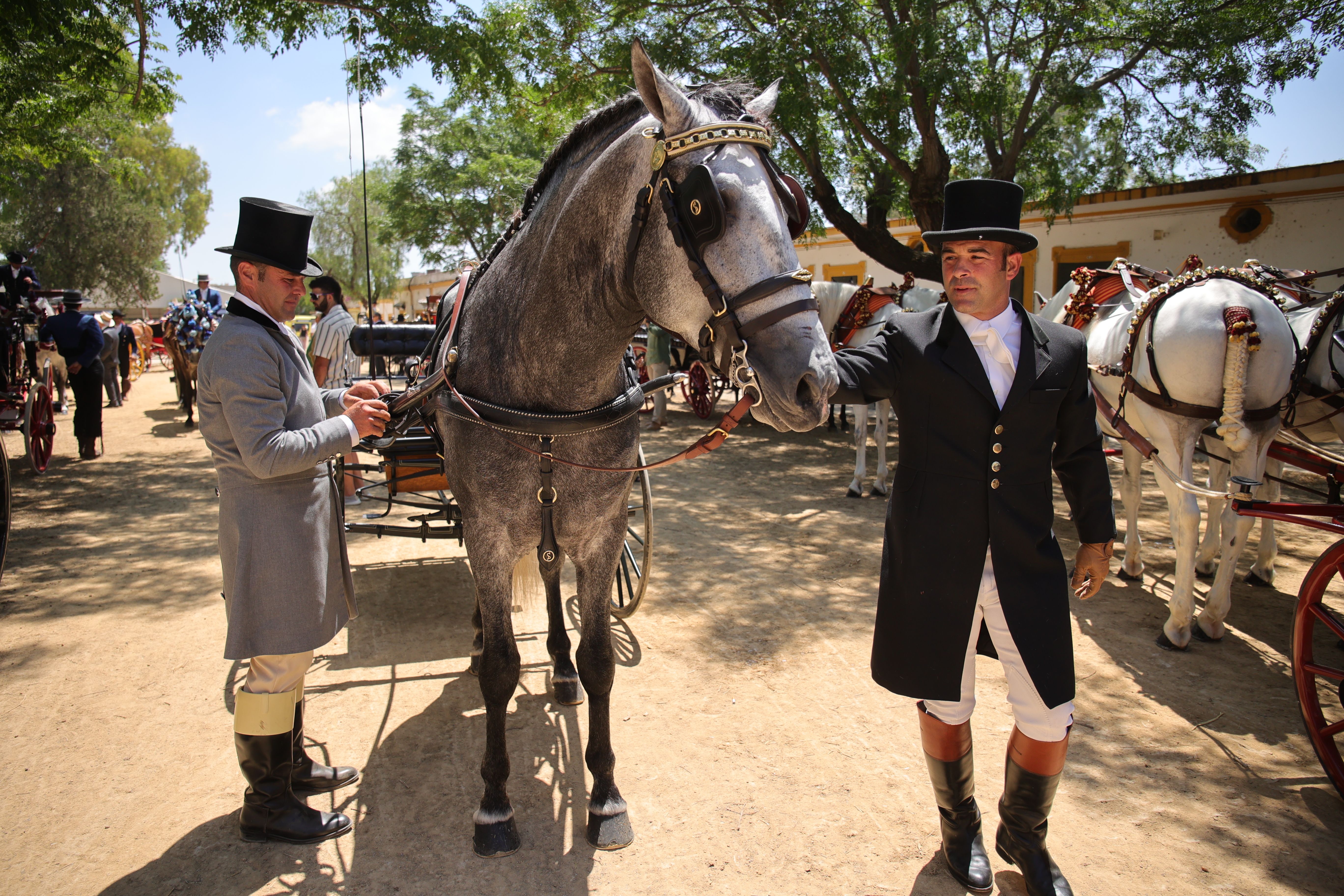 El Caballo de Oro a Belén Bautista en imágenes 