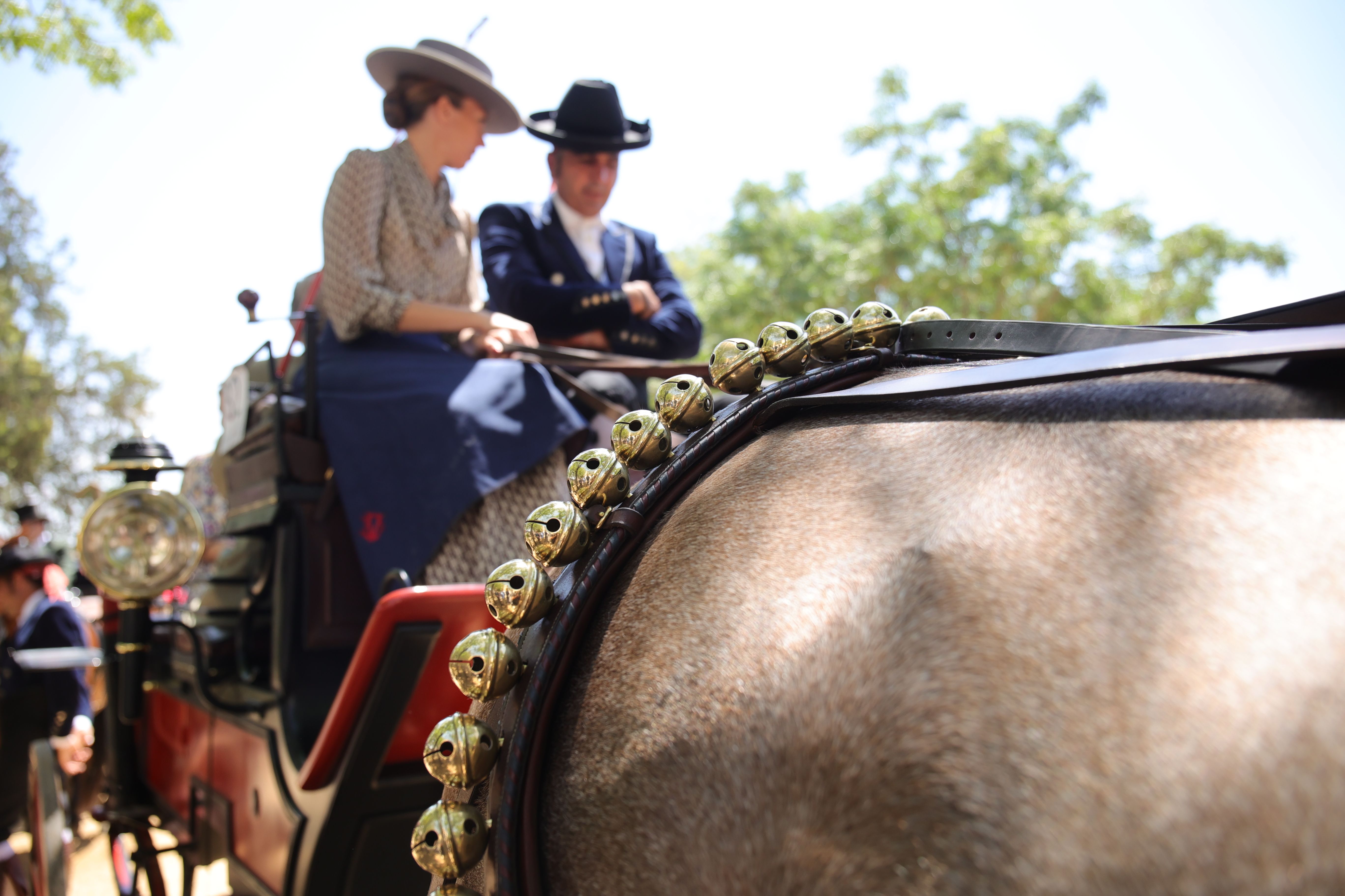 El Caballo de Oro a Belén Bautista en imágenes 