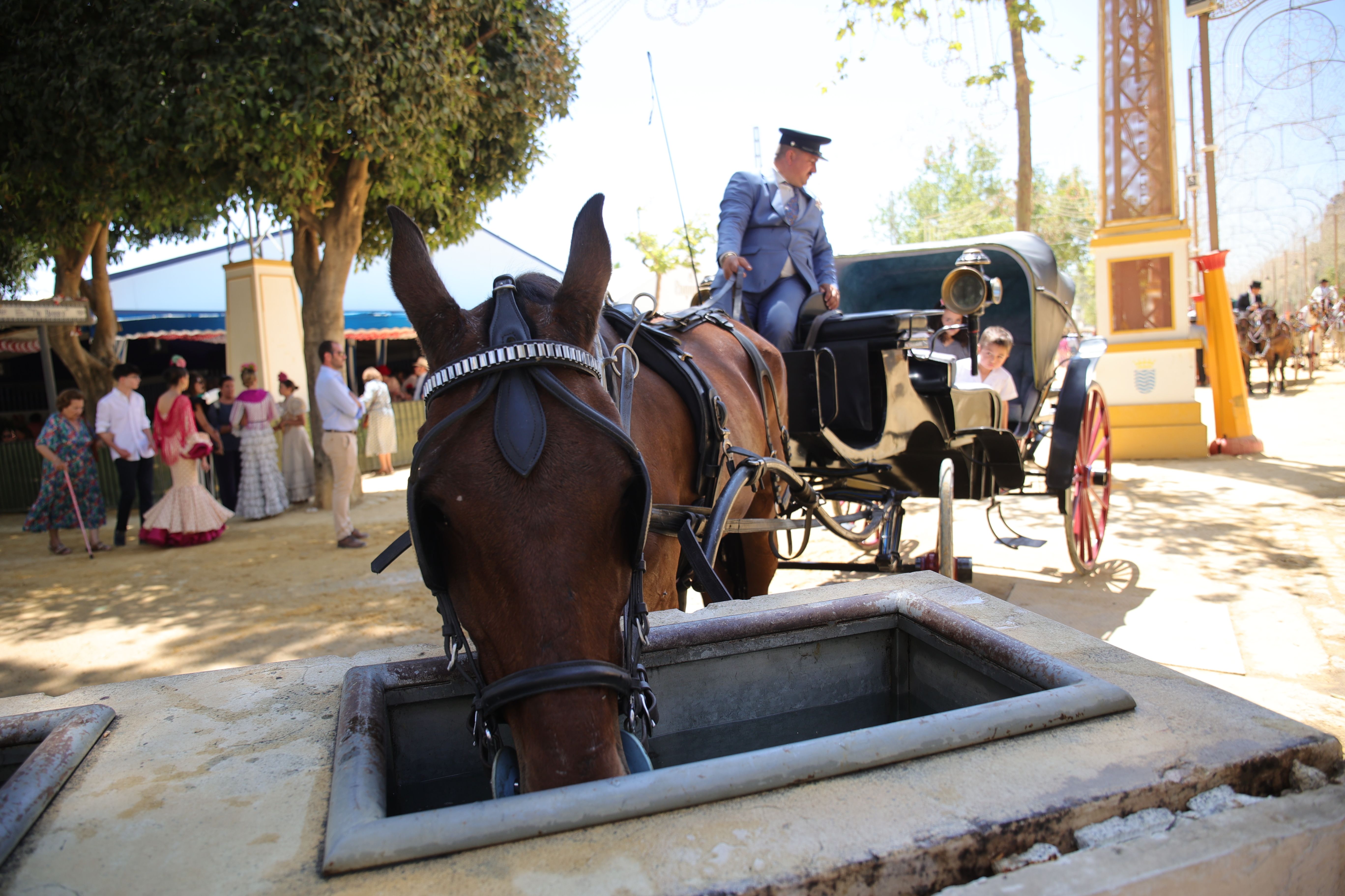 Las imágenes del viernes en la Feria del Caballo