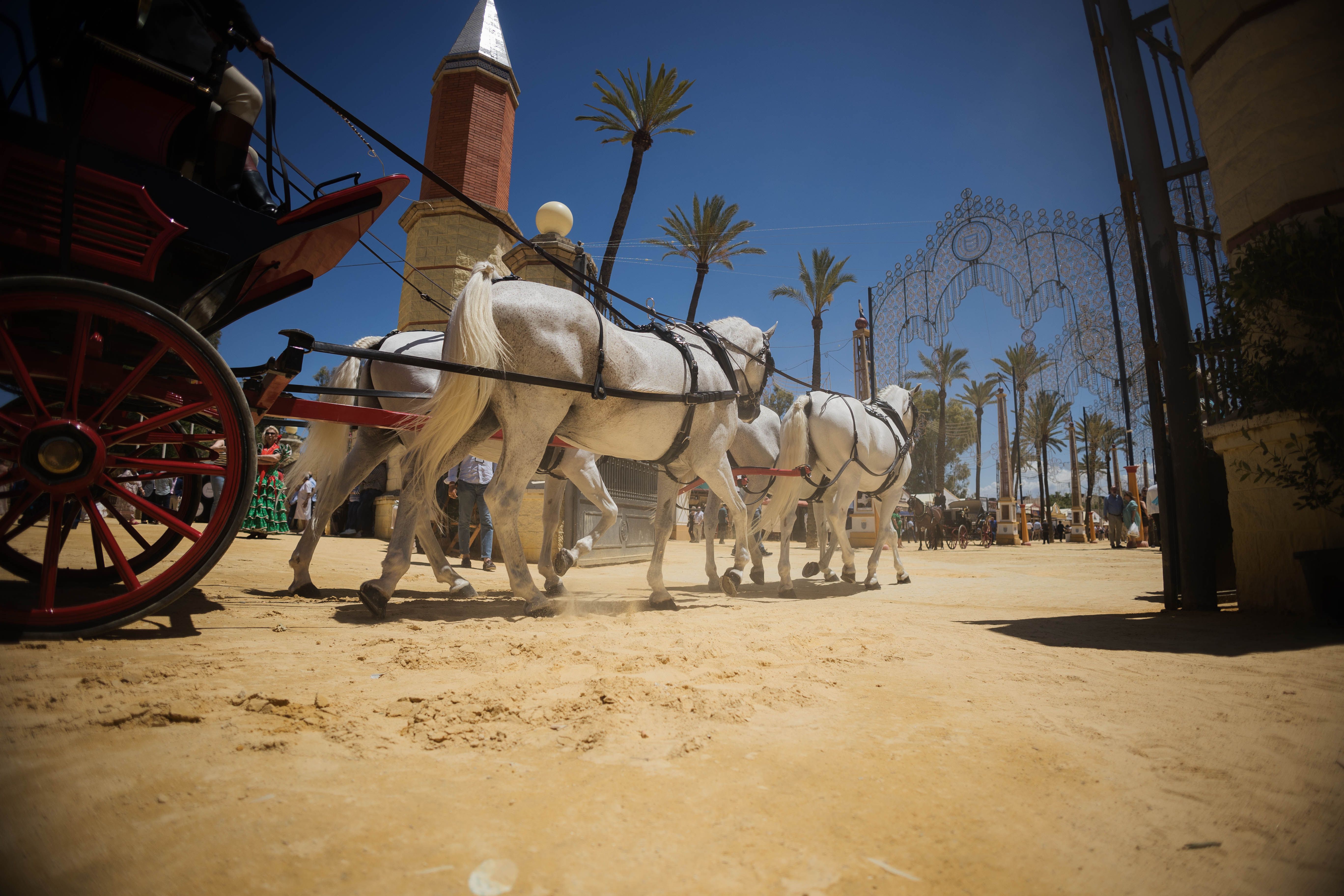 Uno de los arenales del paseo. CANDELA NUÑEZ