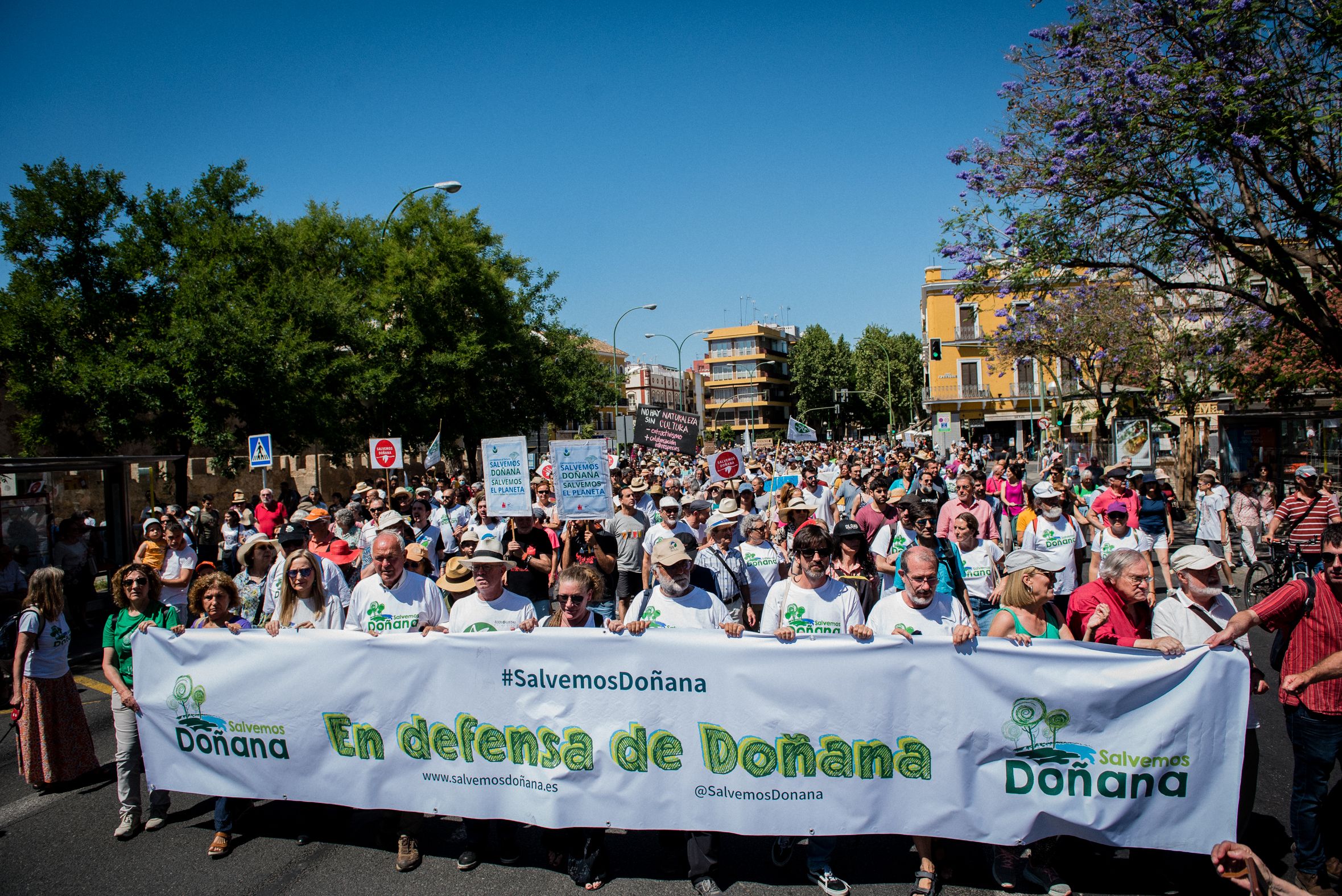 Manifestación en defensa de Doñana, hace unos meses en Sevilla.