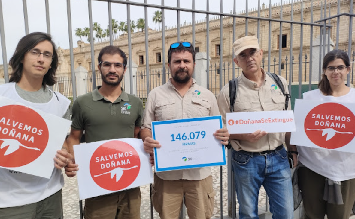 Casi 150.000 firmas se han presentado en el Parlamento para "salvar Doñana".