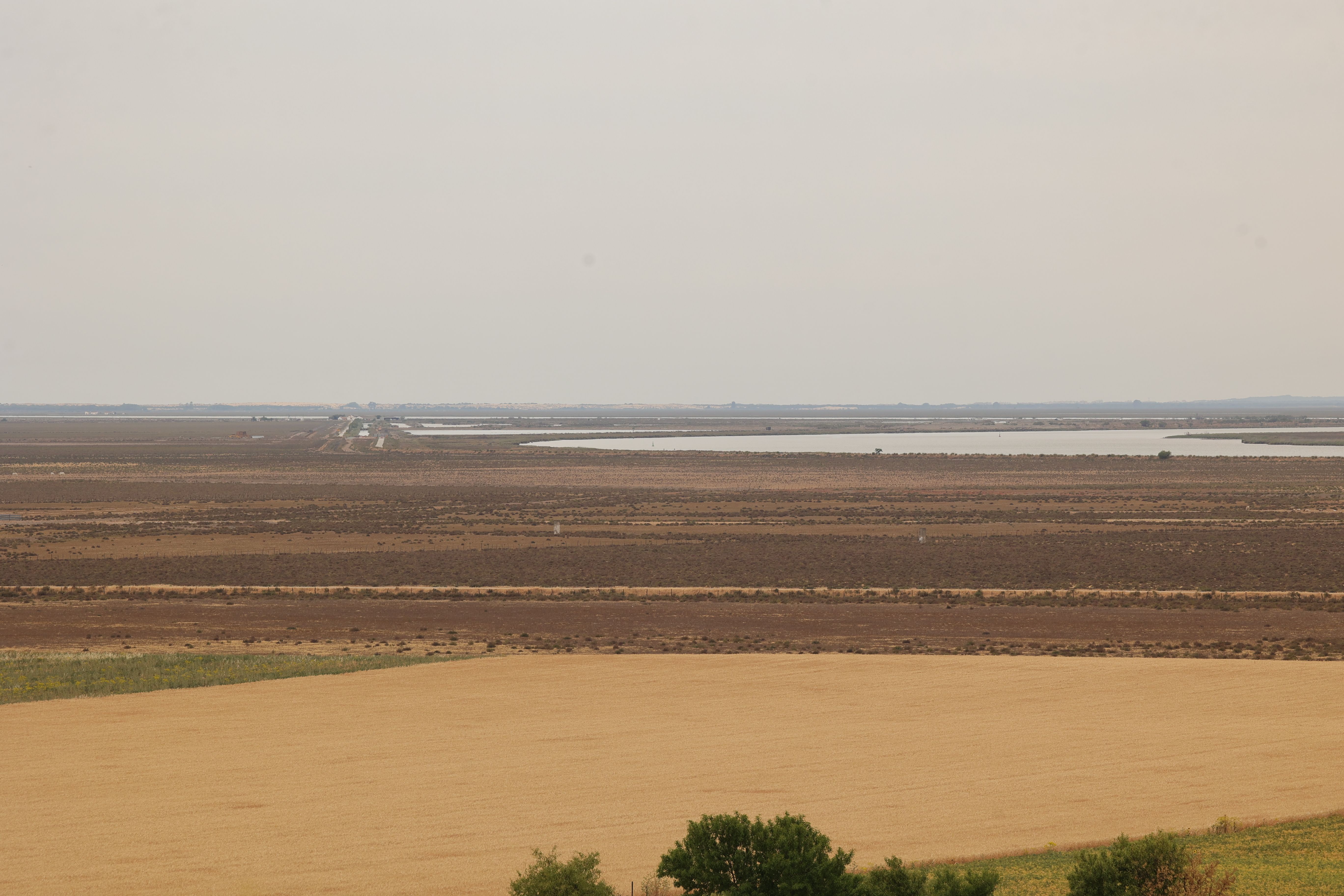 Marismas de Trebujena.