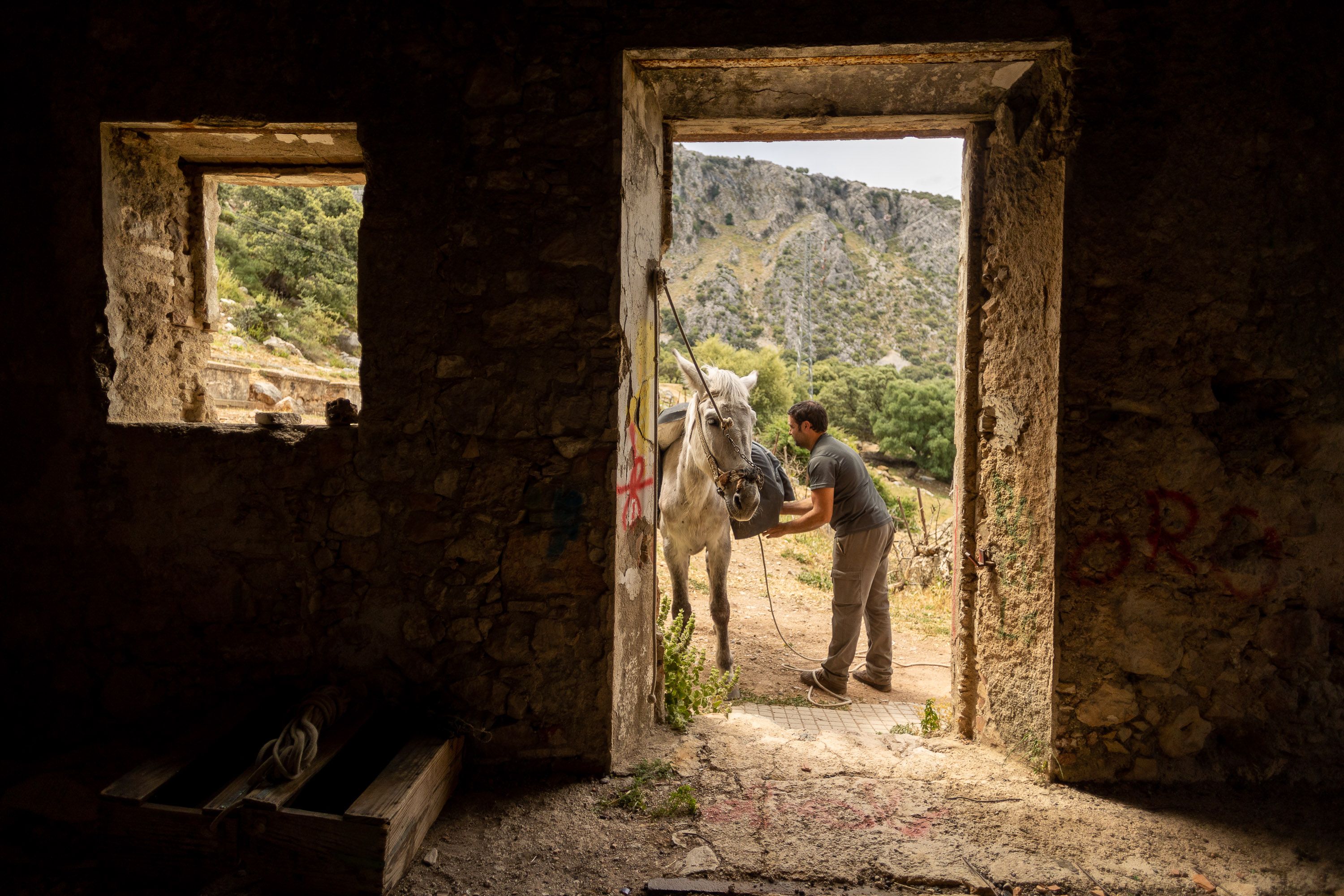 El mulo Canito, único ocupante del edificio, con su propietario Antonio Venegas.    JUAN CARLOS TORO