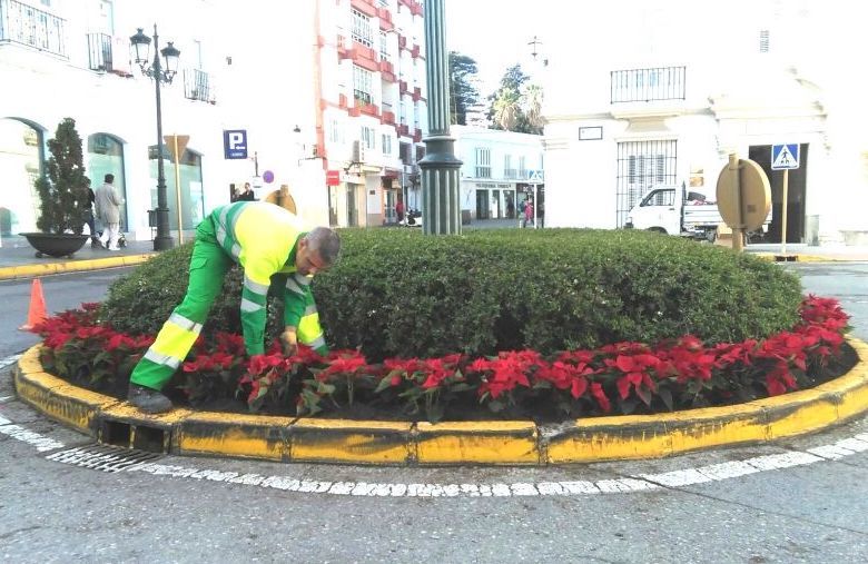 Un operario, colocando flores de Pascua en una imagen de archivo. Un operario, colocando flores de Pascua en una imagen de archivo.