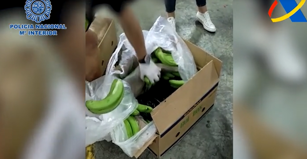 Cocaína oculta en cajas de plátanos.  POLICÍA