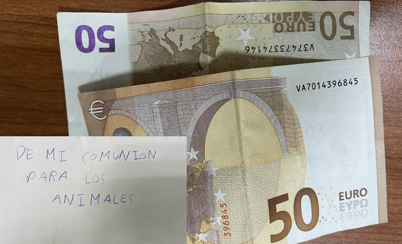 Dinero entregado por un niño a la protectora de animales Fuerza Animal. 