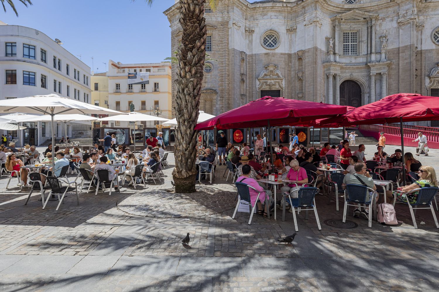 Terrazas de bares en la plaza de la Catedral, en una imagen reciente en Cádiz.