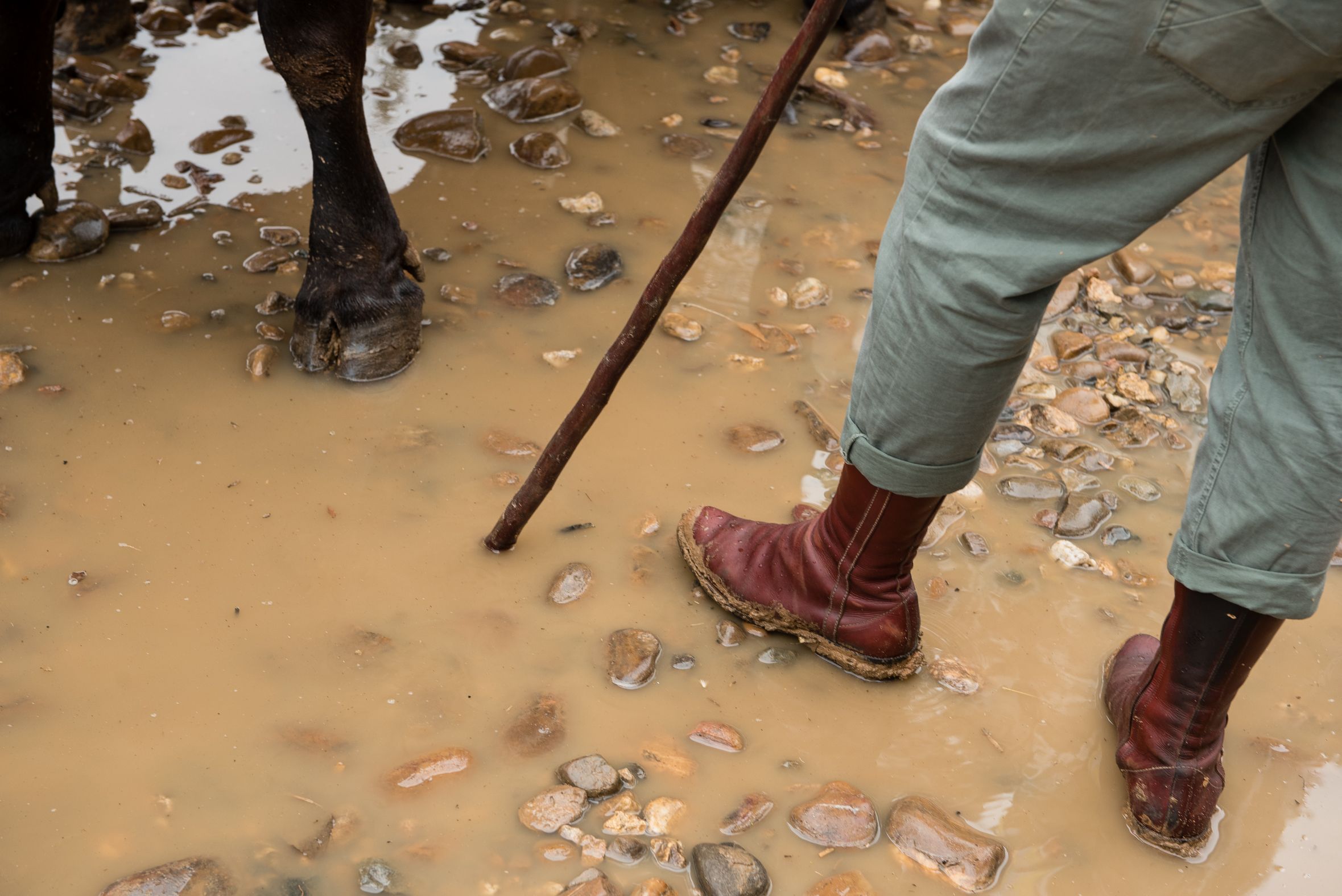 Hermandades de Lucena y de Málaga a su paso por el río Quema 