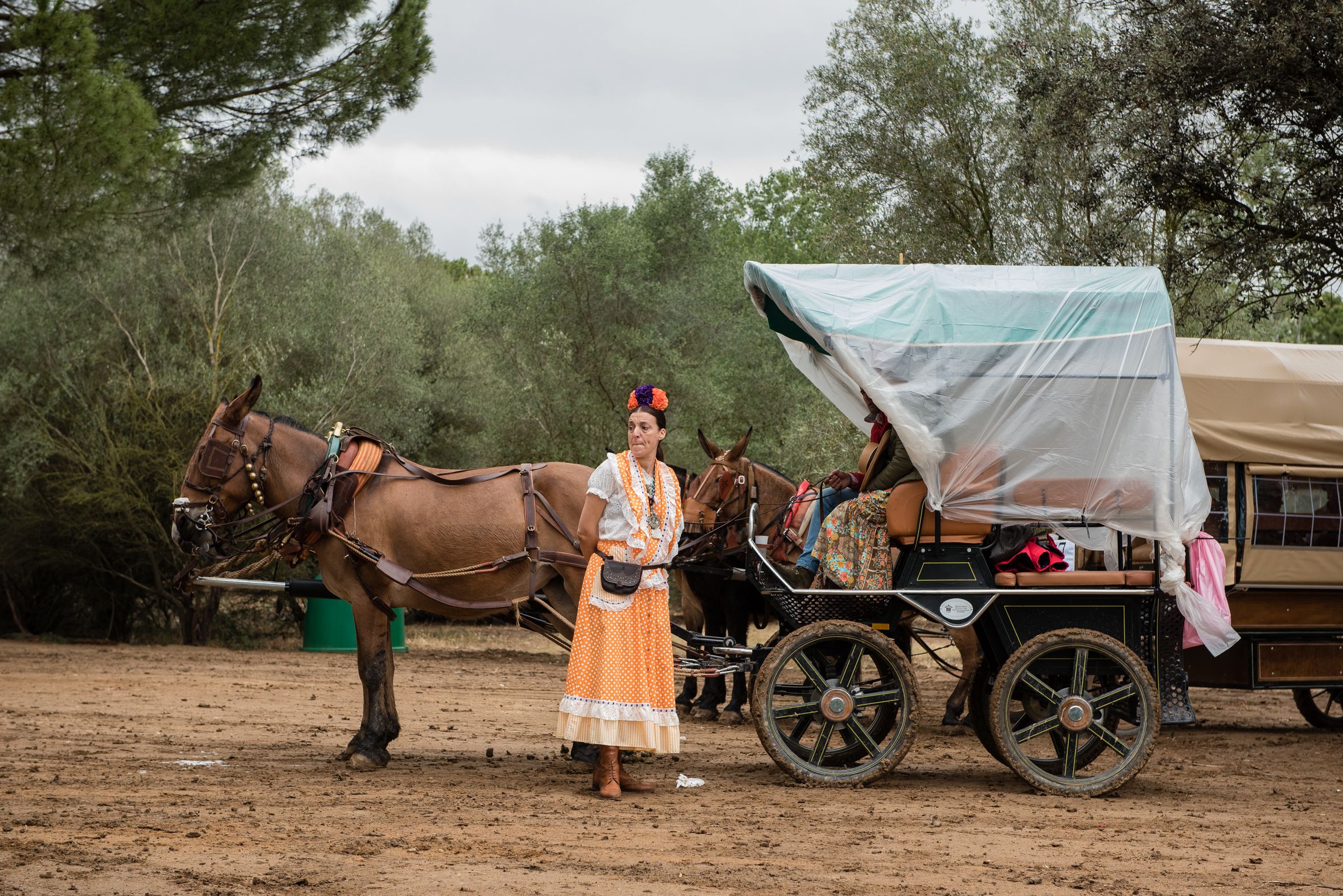 Hermandades de Lucena y de Málaga a su paso por el río Quema 