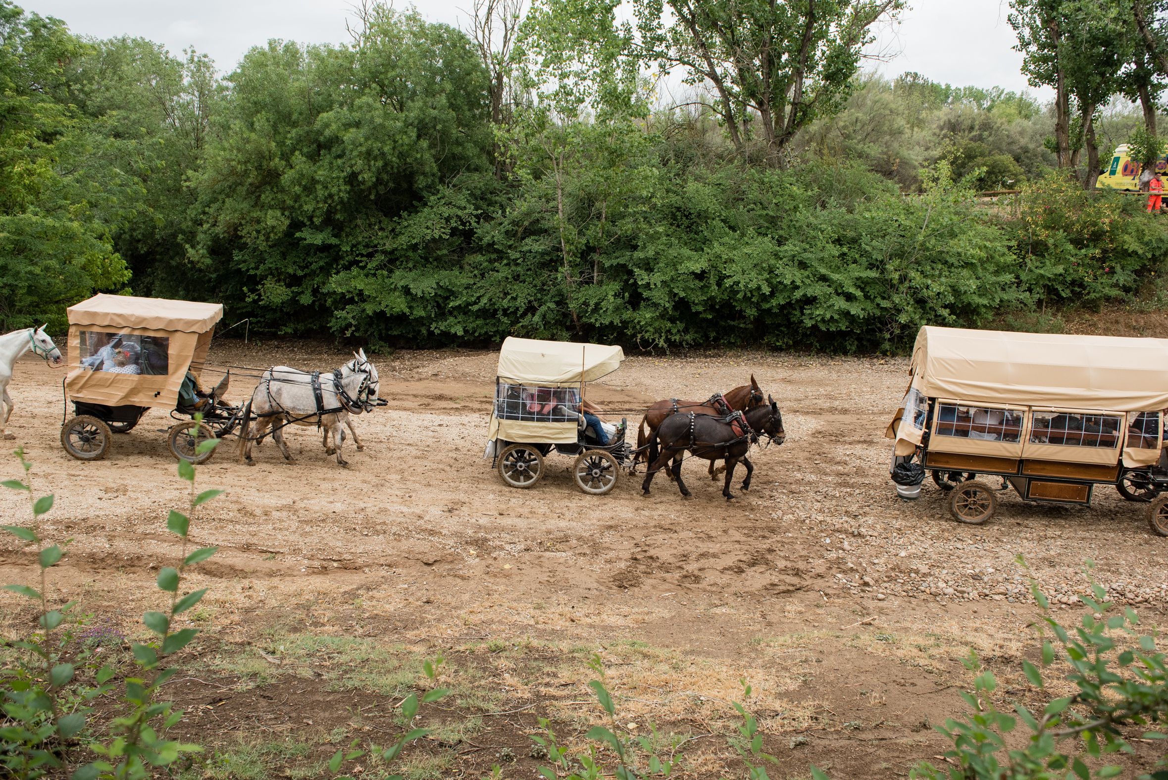 Hermandades de Lucena y de Málaga a su paso por el río Quema de camino al Rocío.