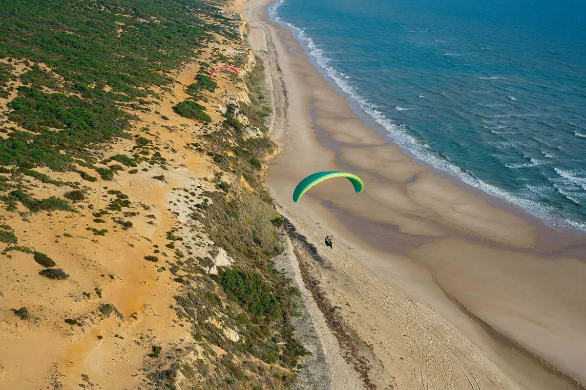 Vista aérea de la playa de Matalascañas en la zona que se adentra en Doñana. 