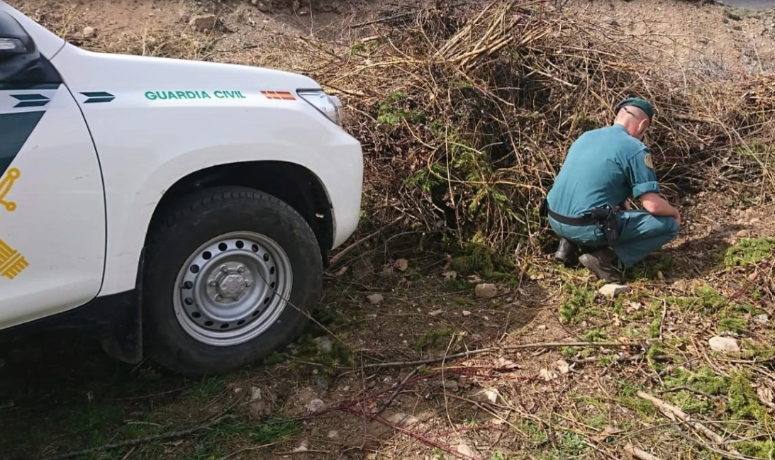 Imagen de archivo del Seprona.  Investigan un caso de maltrato animal al encontrar ocho caballos muertos, una vaca y un burro en Algeciras.