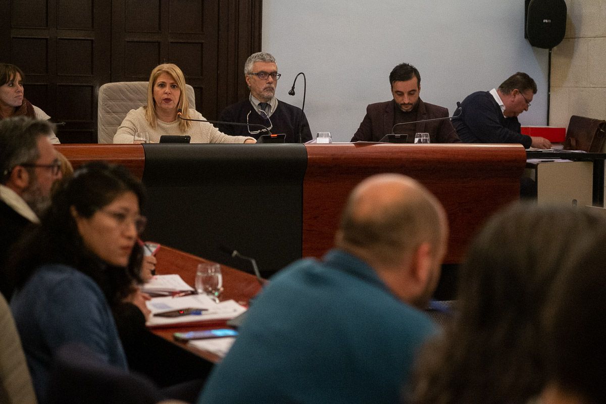 Mamen Sánchez, durante un pleno el mes pasado. FOTO: MANU GARCÍA