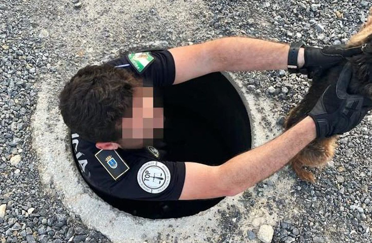 Un policía local de Chipiona rescata a un mascota: el 'estafador de perros' ha sido detenido Un policía local de Chipiona rescata a un mascota: el 'estafador de perros' ha sido detenido