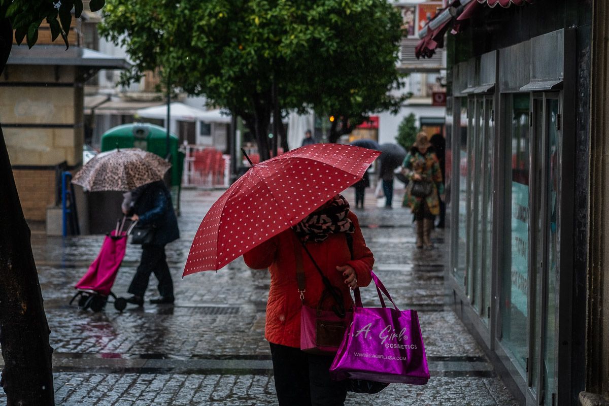 Una calle del centro de Jerez en una jornada de lluvias días atrás.