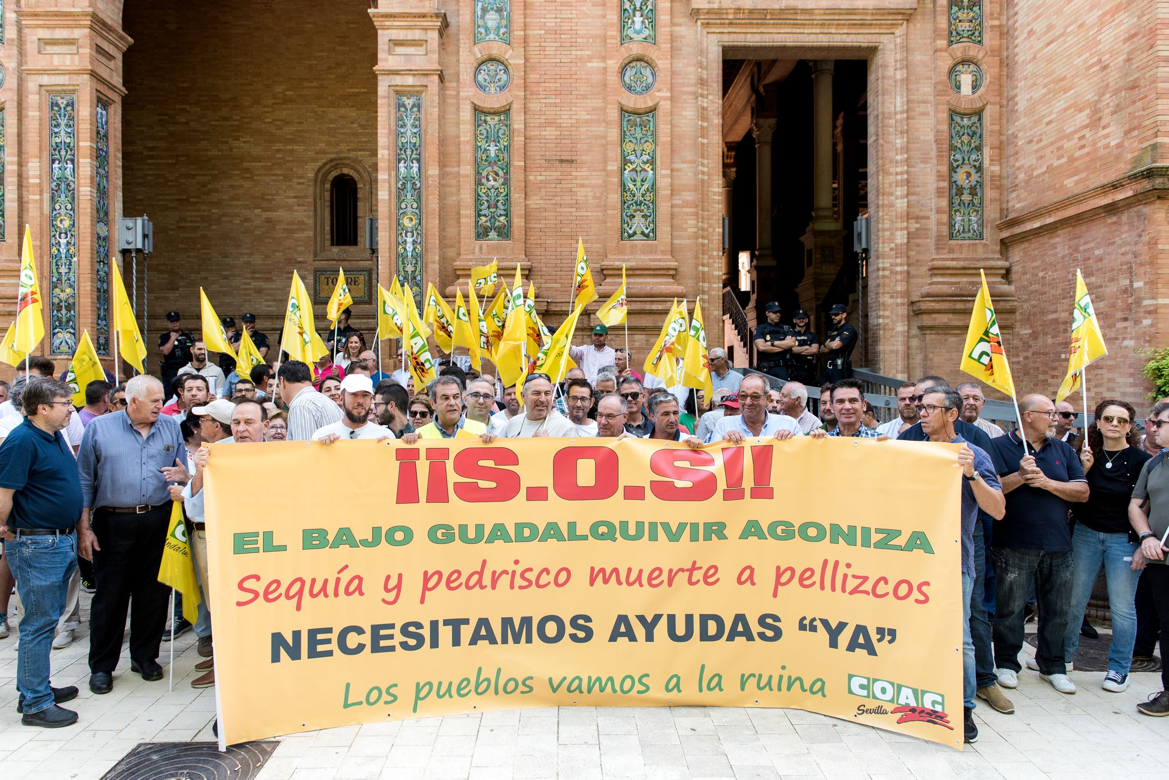 Los agricultores del Bajo Guadalquivir piden medidas para afrontar la sequía.