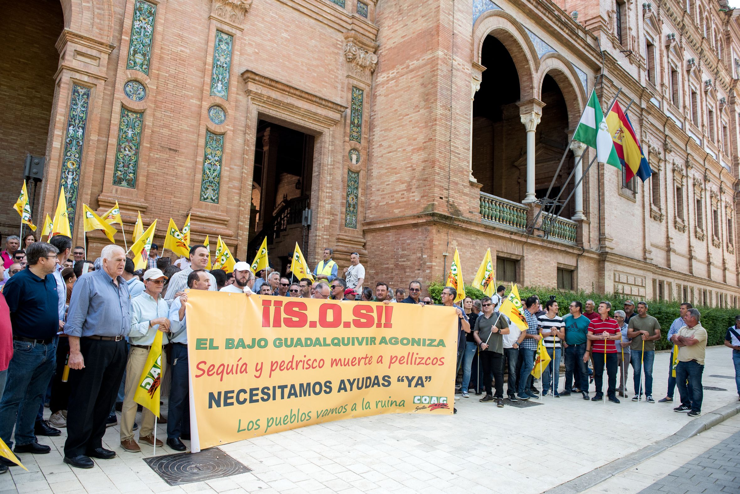 MANIFESTACION COAG SEVILLA 31 MAYO 2023 7
