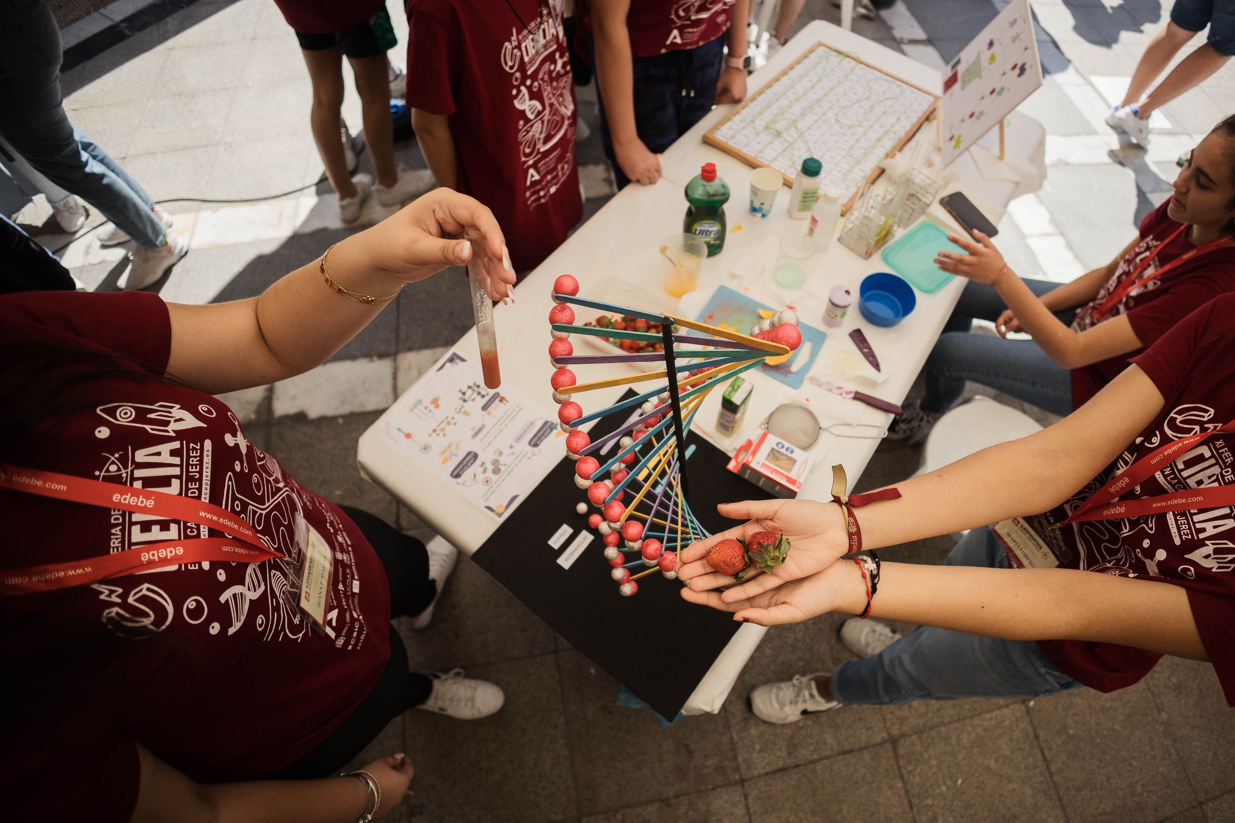 Inauguración de la XI Feria de la Ciencia en la Calle en Jerez 23