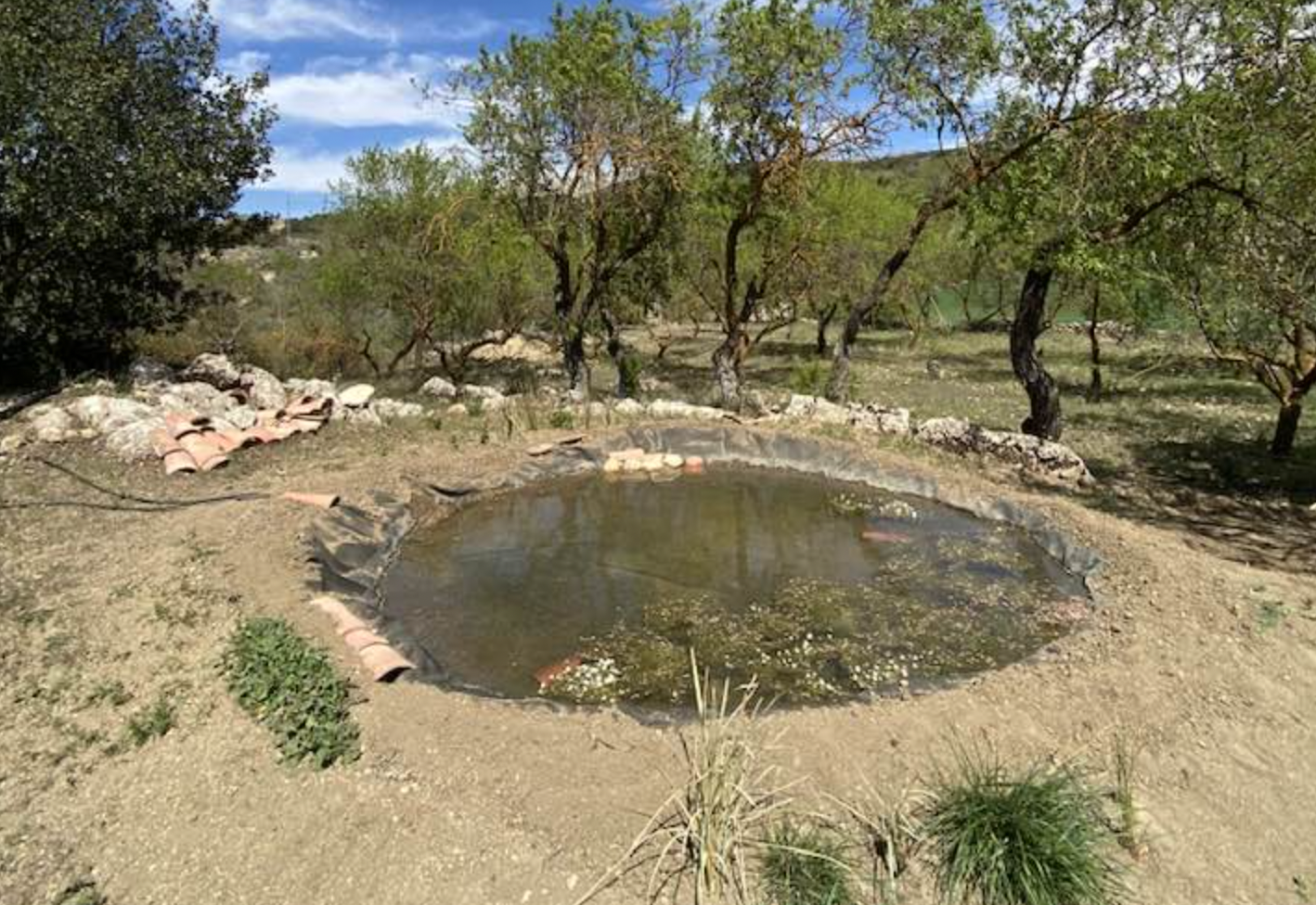 Estanque construido por Eduardo en su finca de Alfarnate.