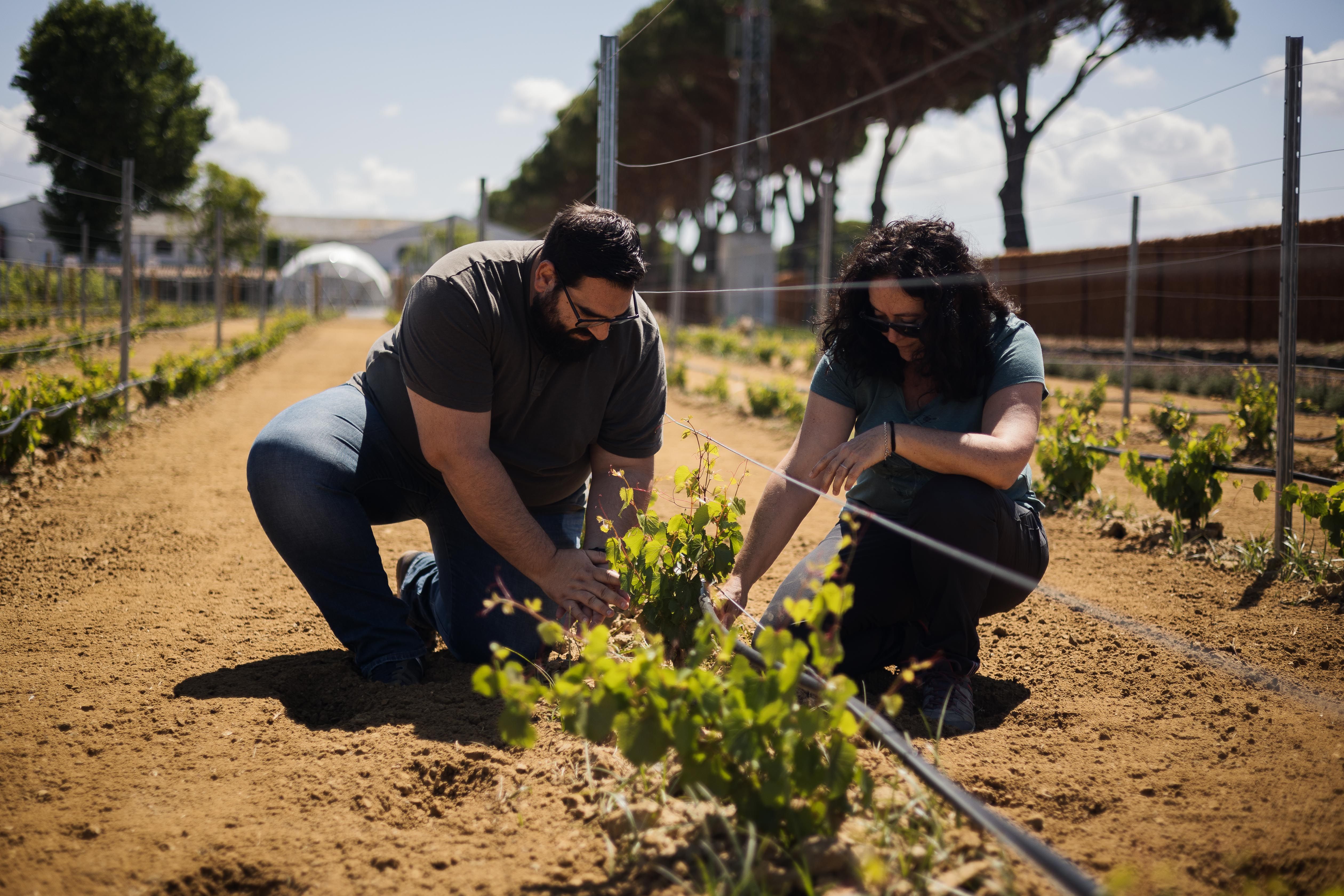 Ana y Antonio observan el estado de las plantas. 