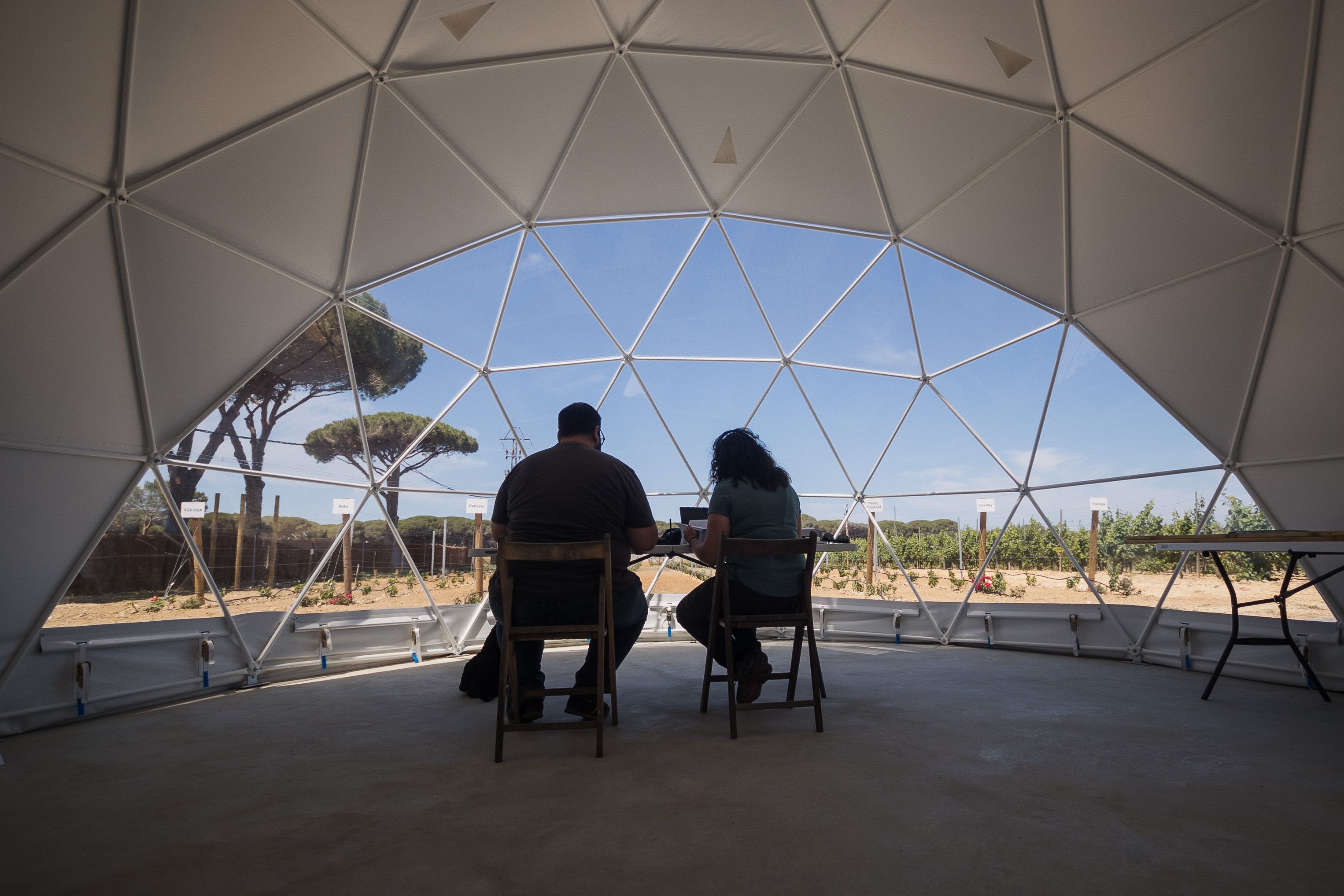 Vistas desde el interior del domo geodésico. 