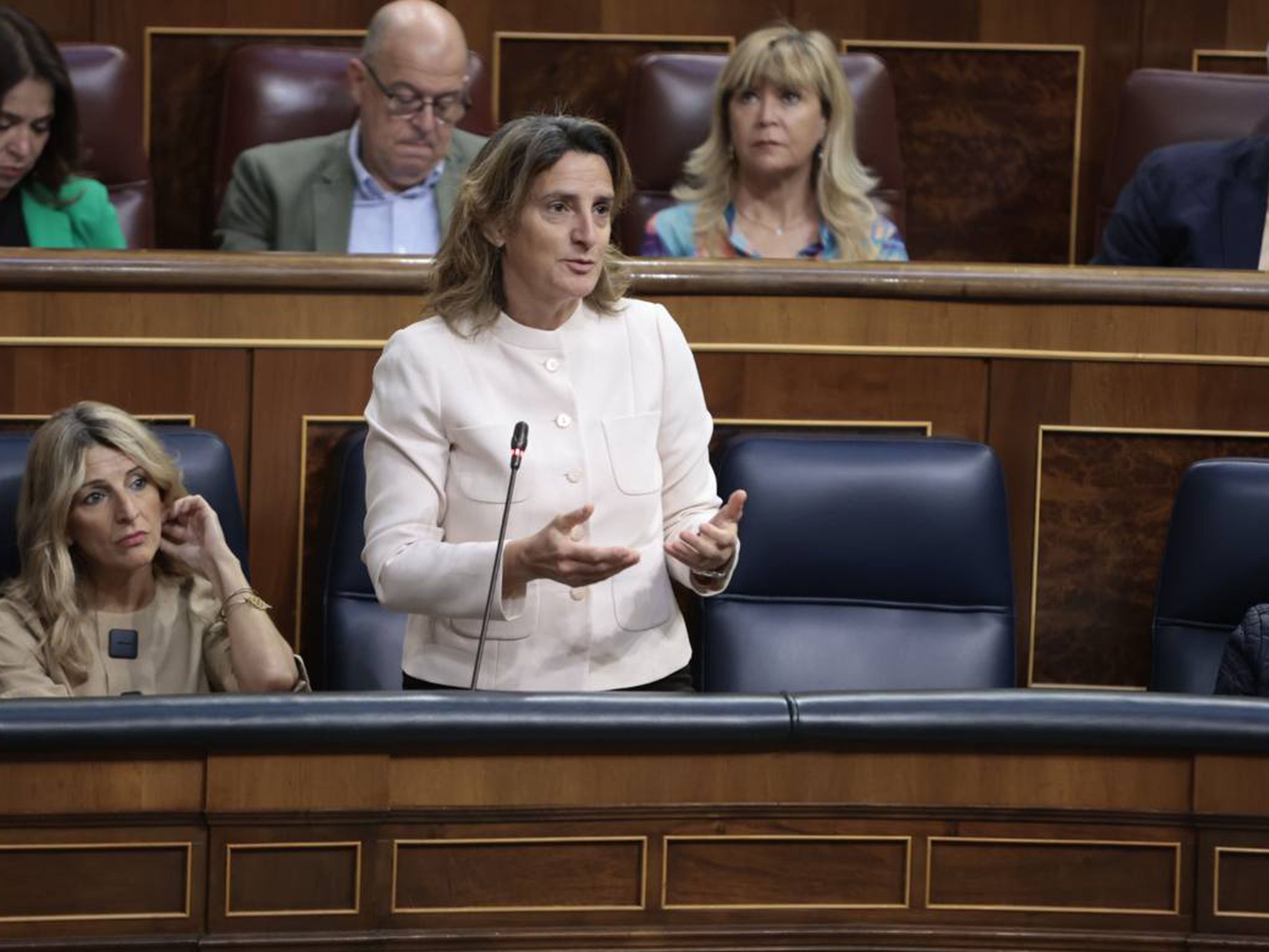 Teresa Ribera en el Congreso.