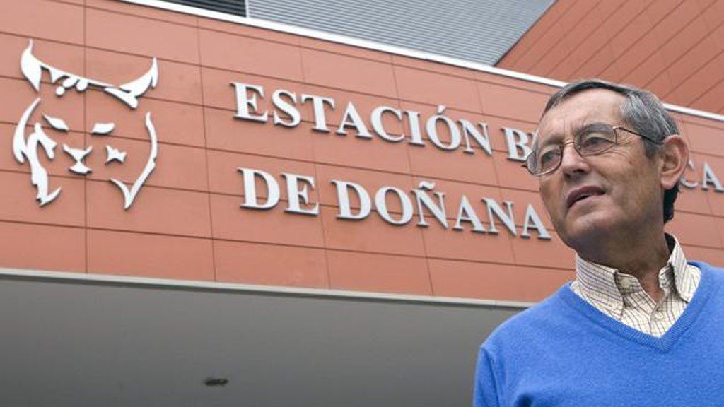 Miguel Delibes en una imagen de Canal Sur. Miguel Delibes en una imagen de Canal Sur.