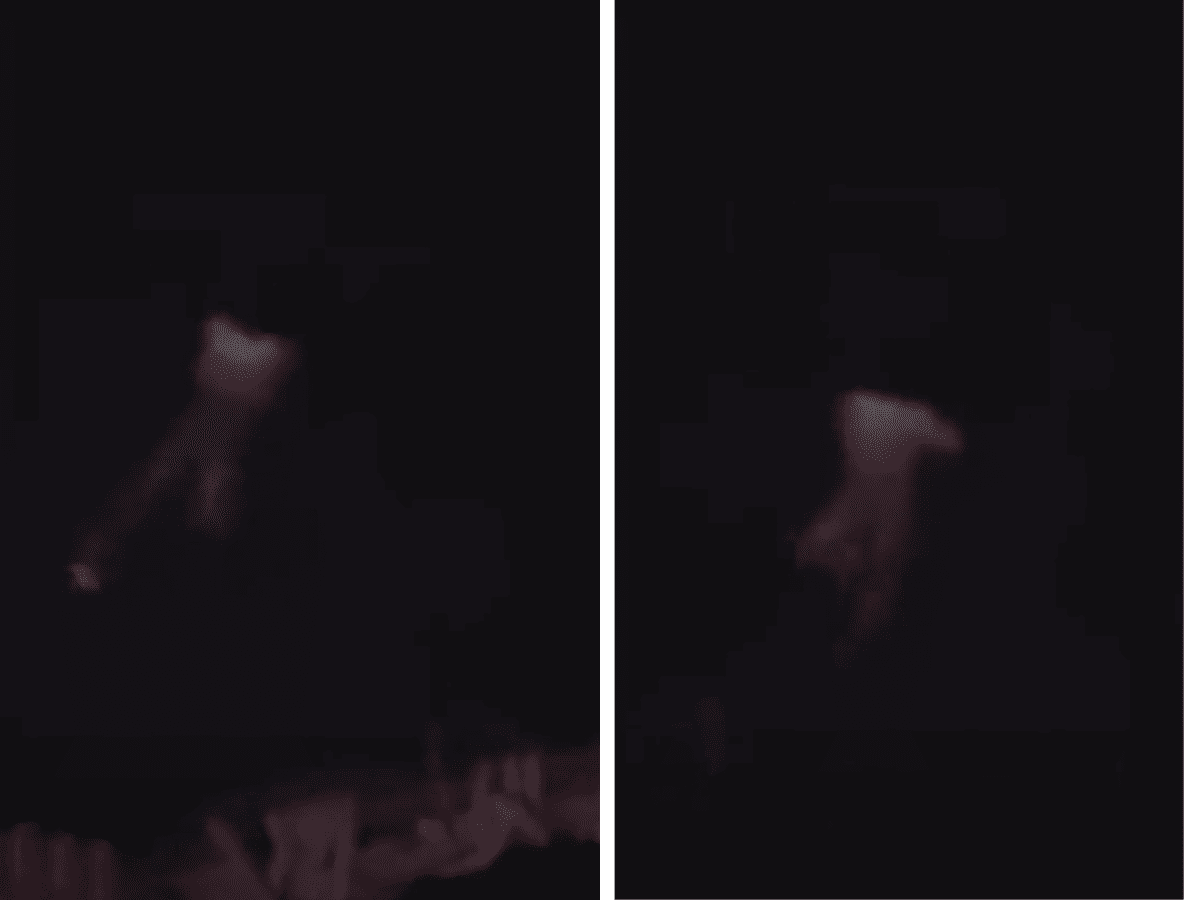 Momentos del vídeo en el que el joven desaparece entre tiburones.