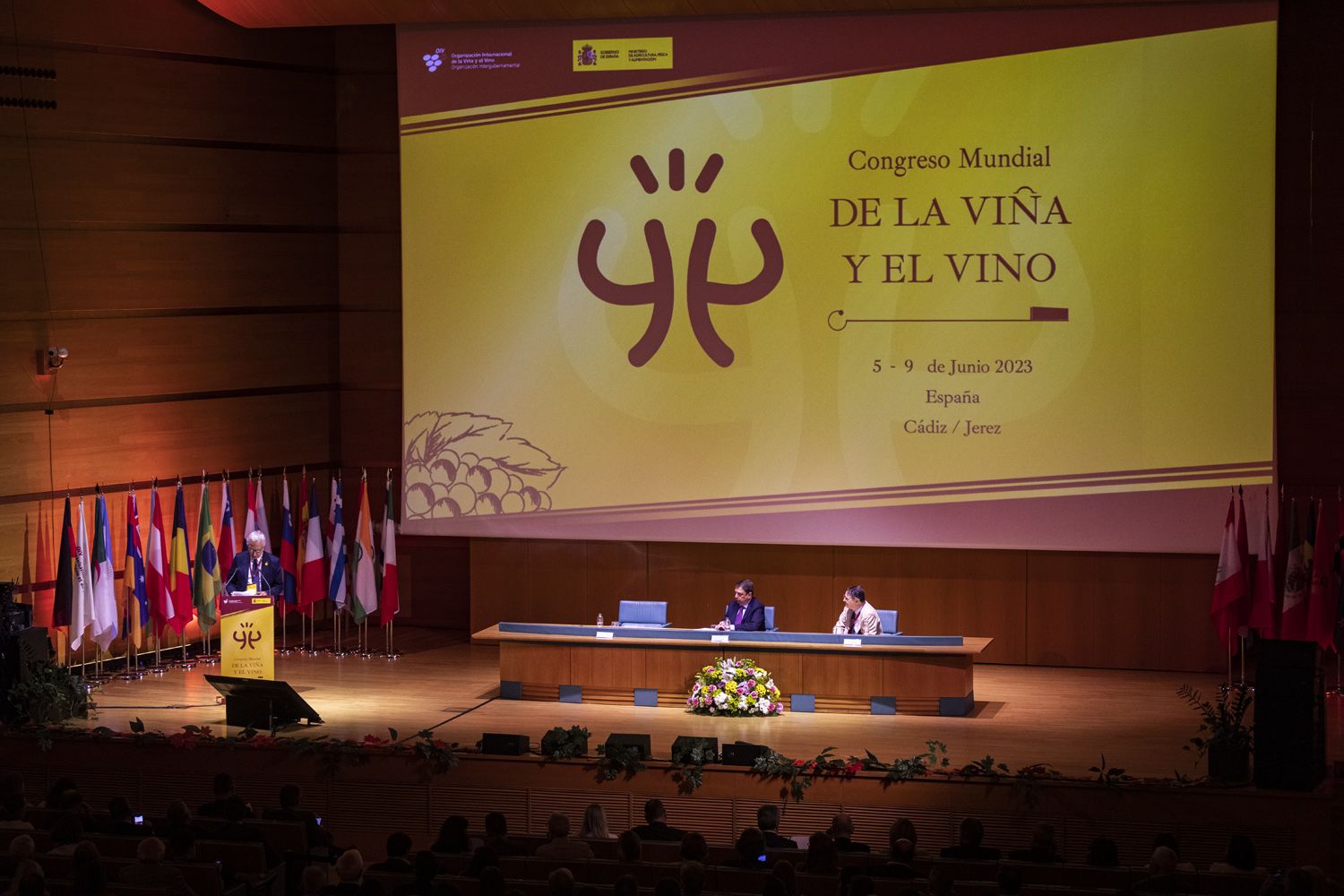 congreso vino cadiz