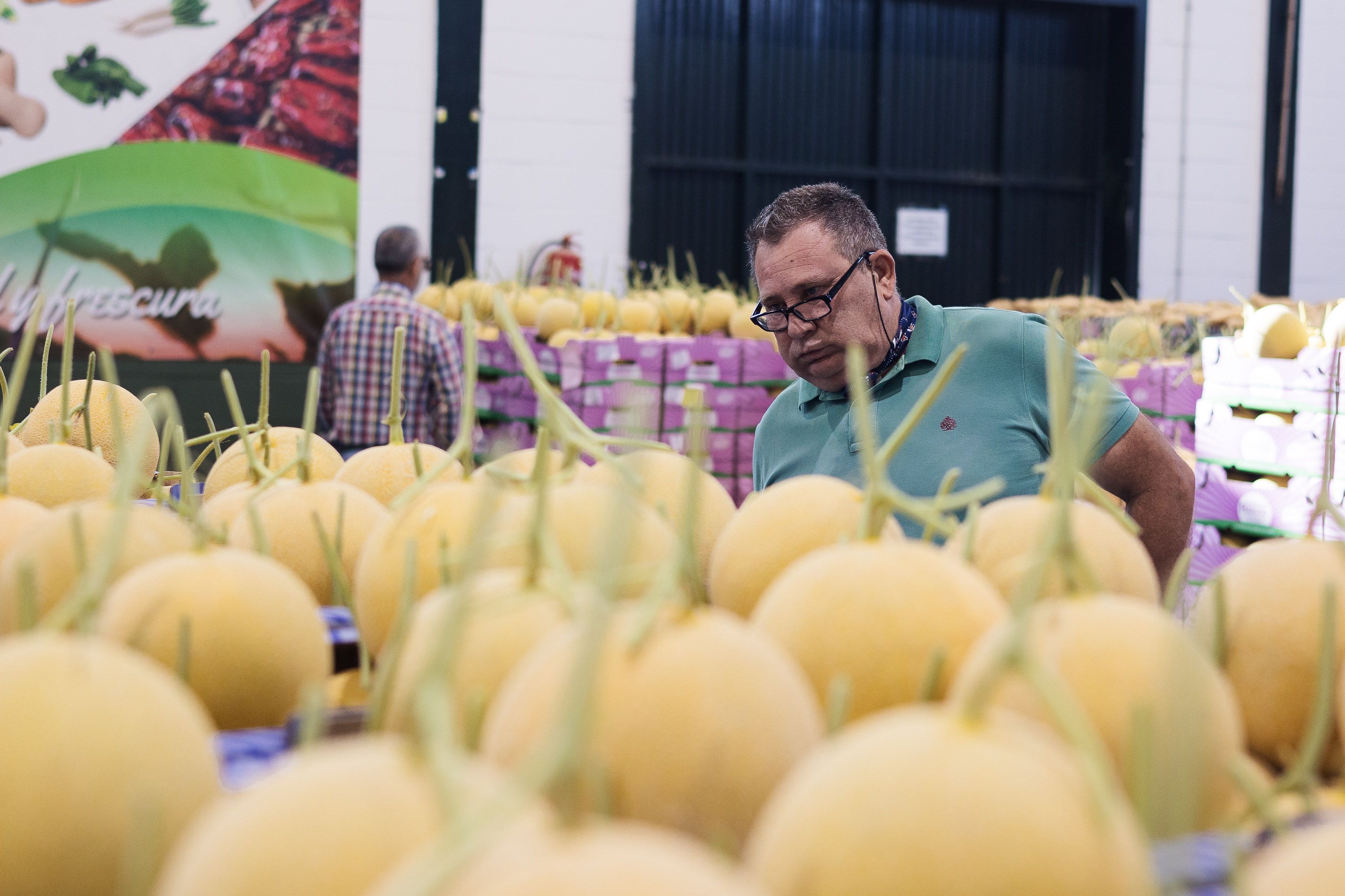 Los compradores observan los melones de Júcar. 