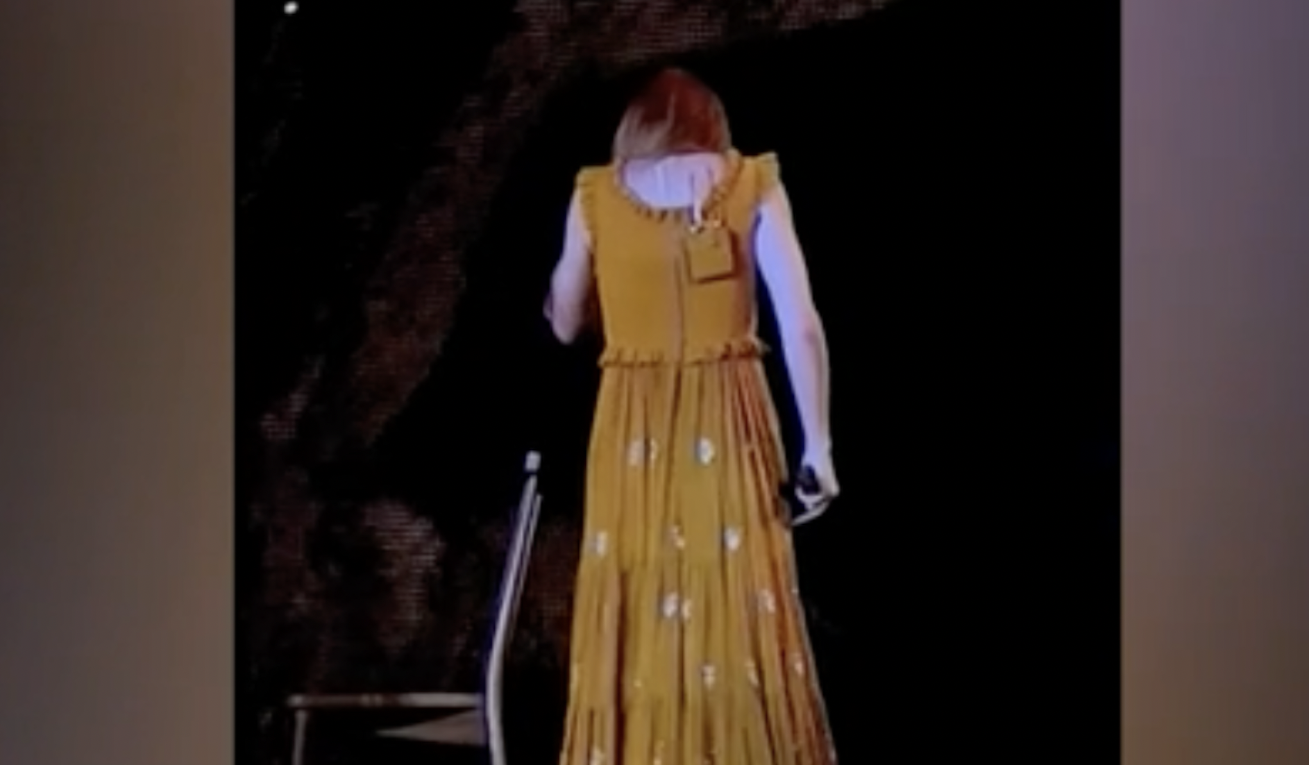 Taylor Swift se traga un bicho en mitad de un concierto.