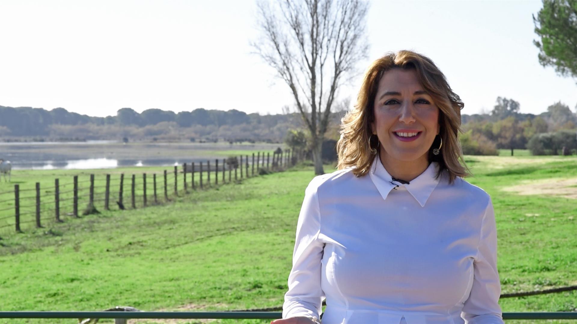 Susana Díaz, en el vídeo difundido por el PSOE-A.