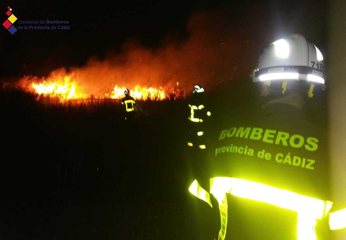 Los bomberos actuando en la dehesa de las Yeguas.