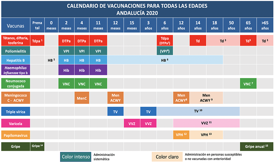 Calendario de vacunaciones de Andalucía para 2020. 